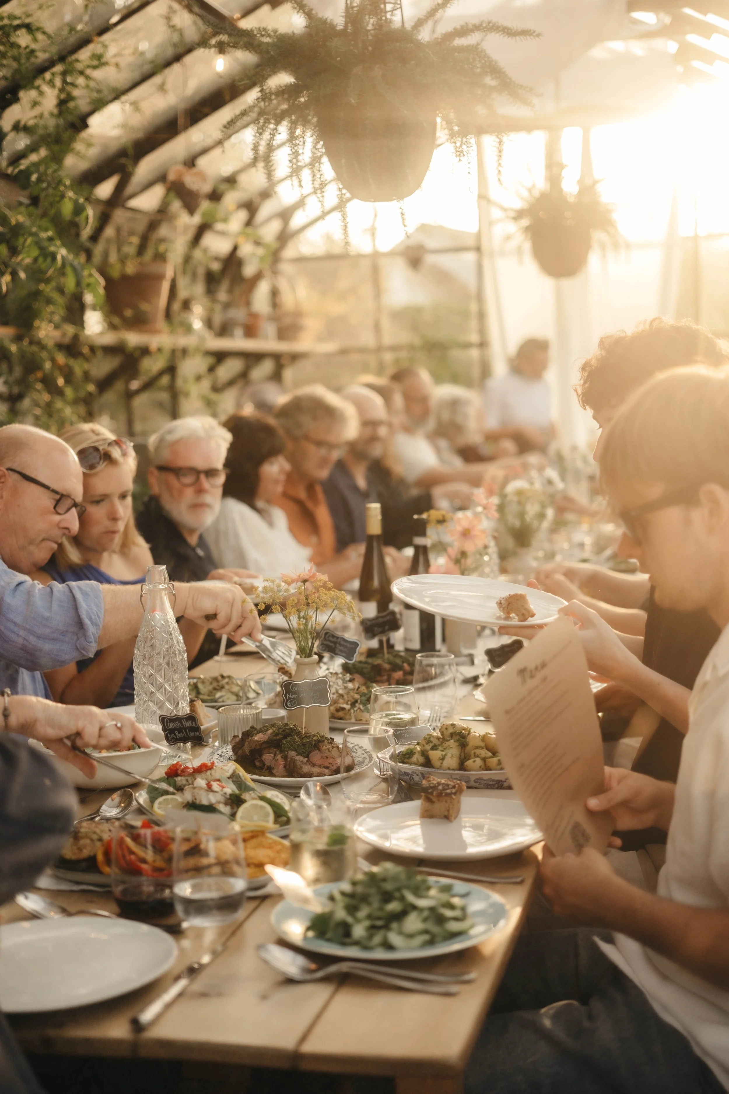 People gathered around a long dining table in a greenhouse, enjoying a meal with sunlight streaming in, potted plants, and hanging flowers.