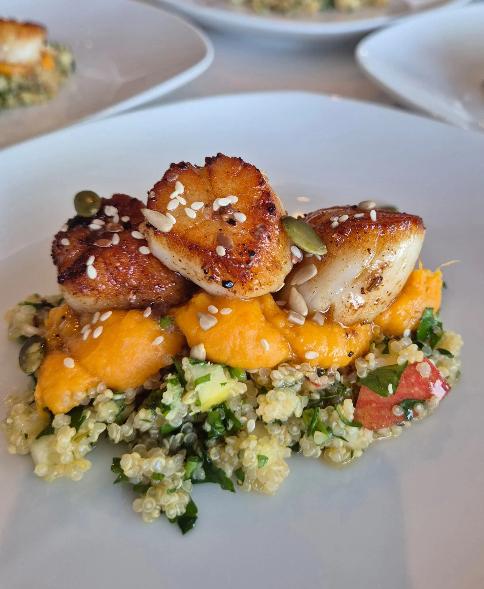 Seared scallops on a bed of quinoa, mixed with chopped vegetables, topped with pumpkin seeds, sunflower seeds, and sesame seeds.
