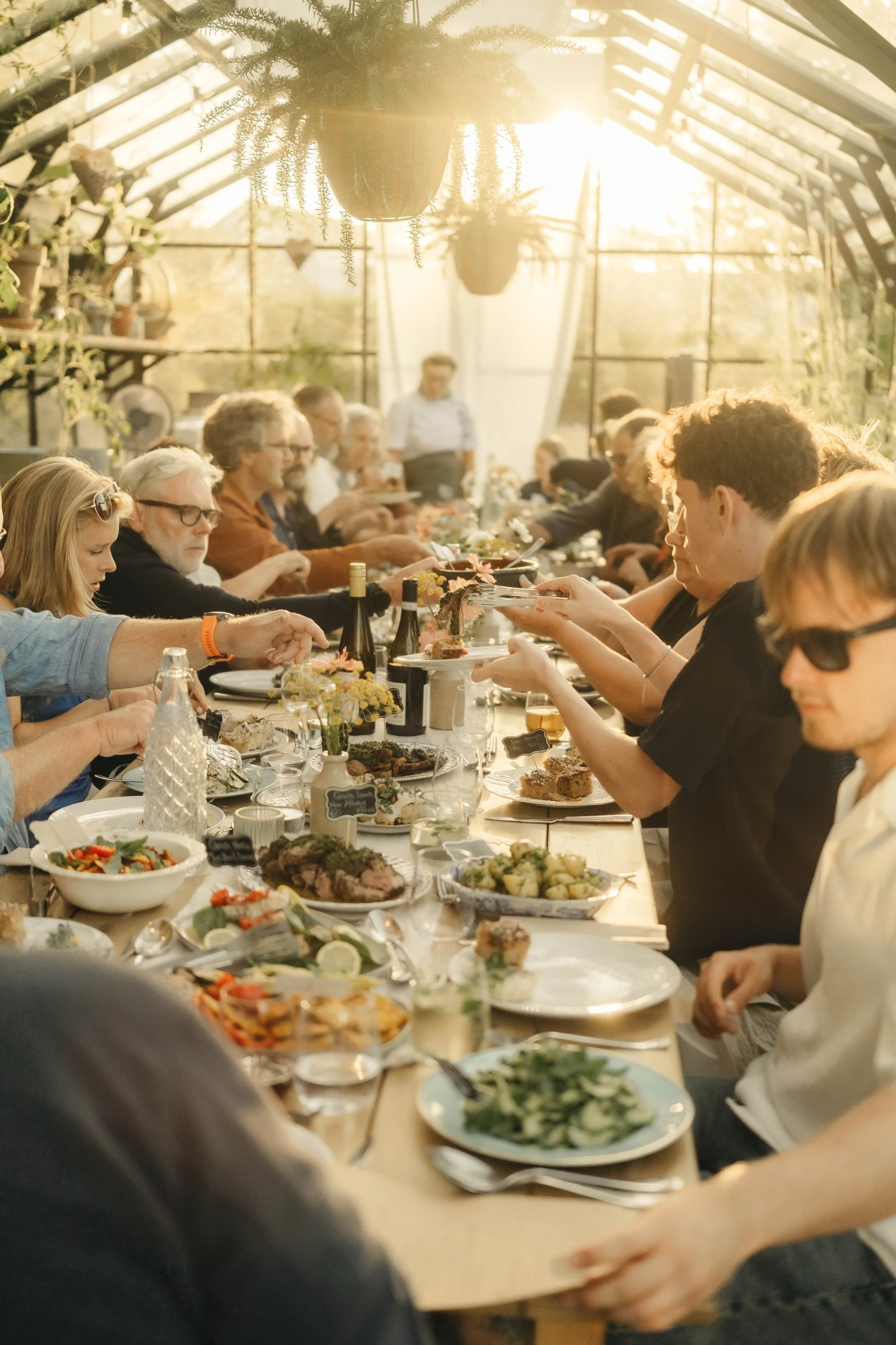 People gathered around a long dining table in a greenhouse, sharing a meal with various dishes, drinks, and flowers, illuminated by sunlight.