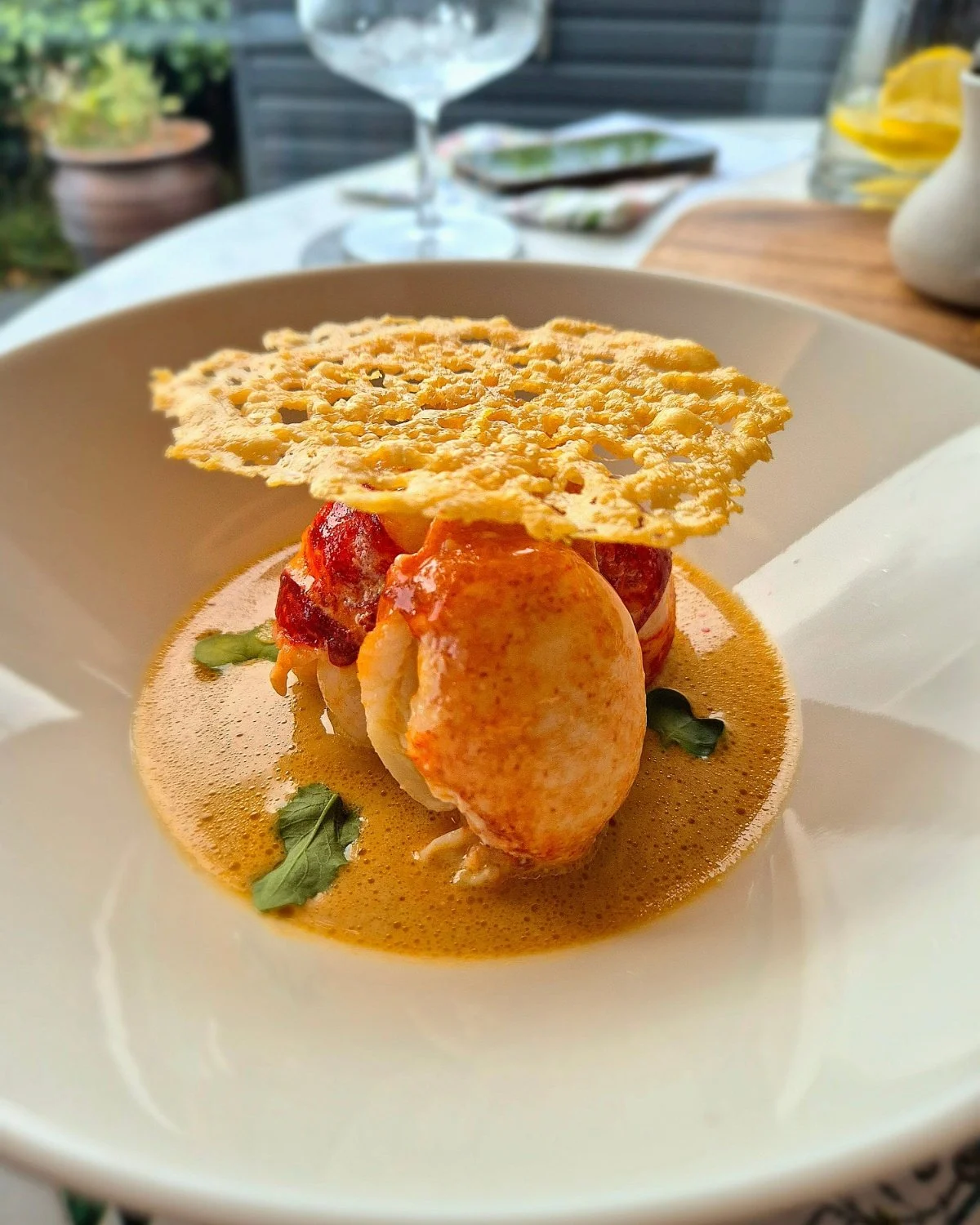 Gourmet dish featuring seared scallops with lobster bisque, garnished with fresh herbs and topped with a crispy cheese wafer, presented on a white plate.