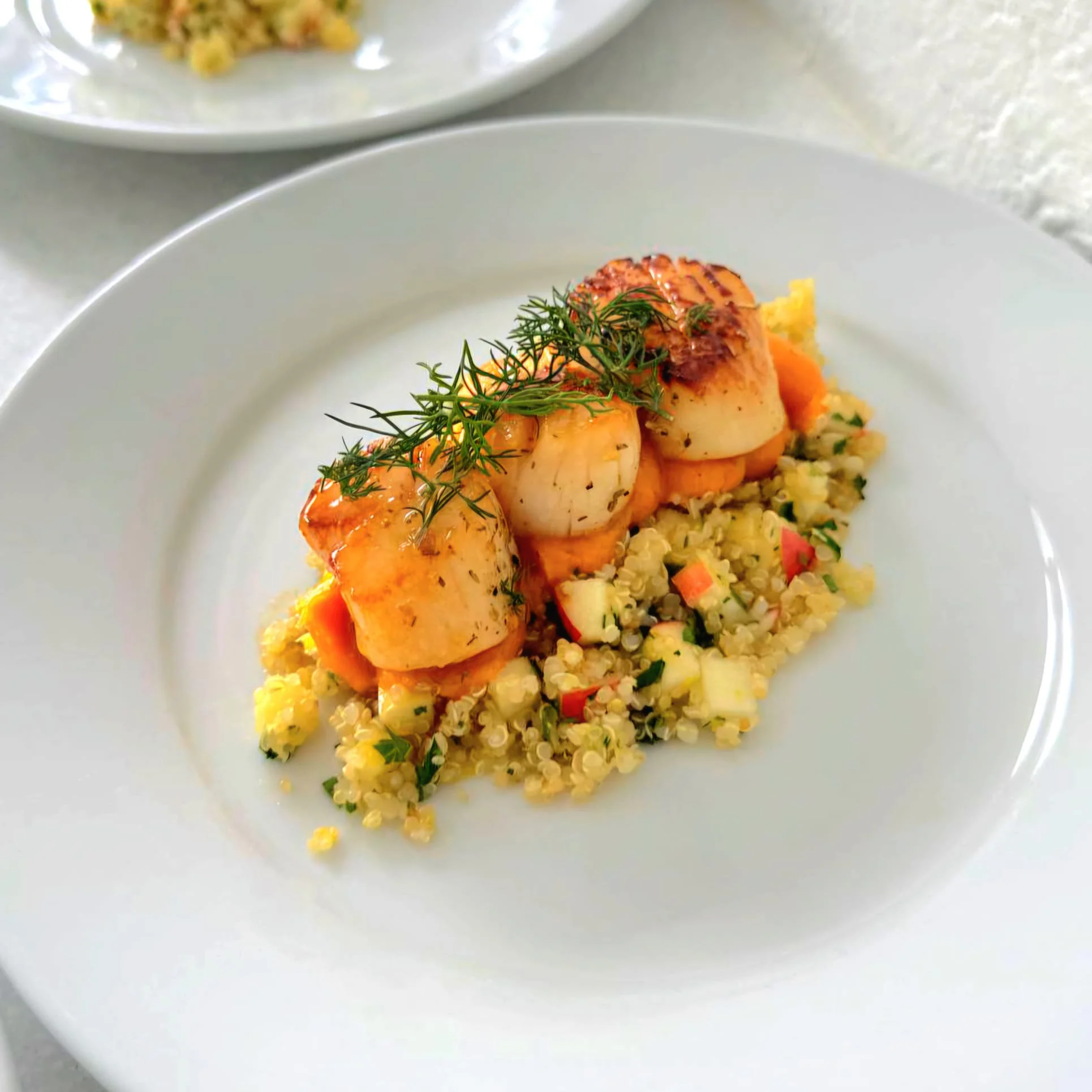Seared scallops served with quinoa, diced vegetables, and garnished with fresh herbs on a white plate.