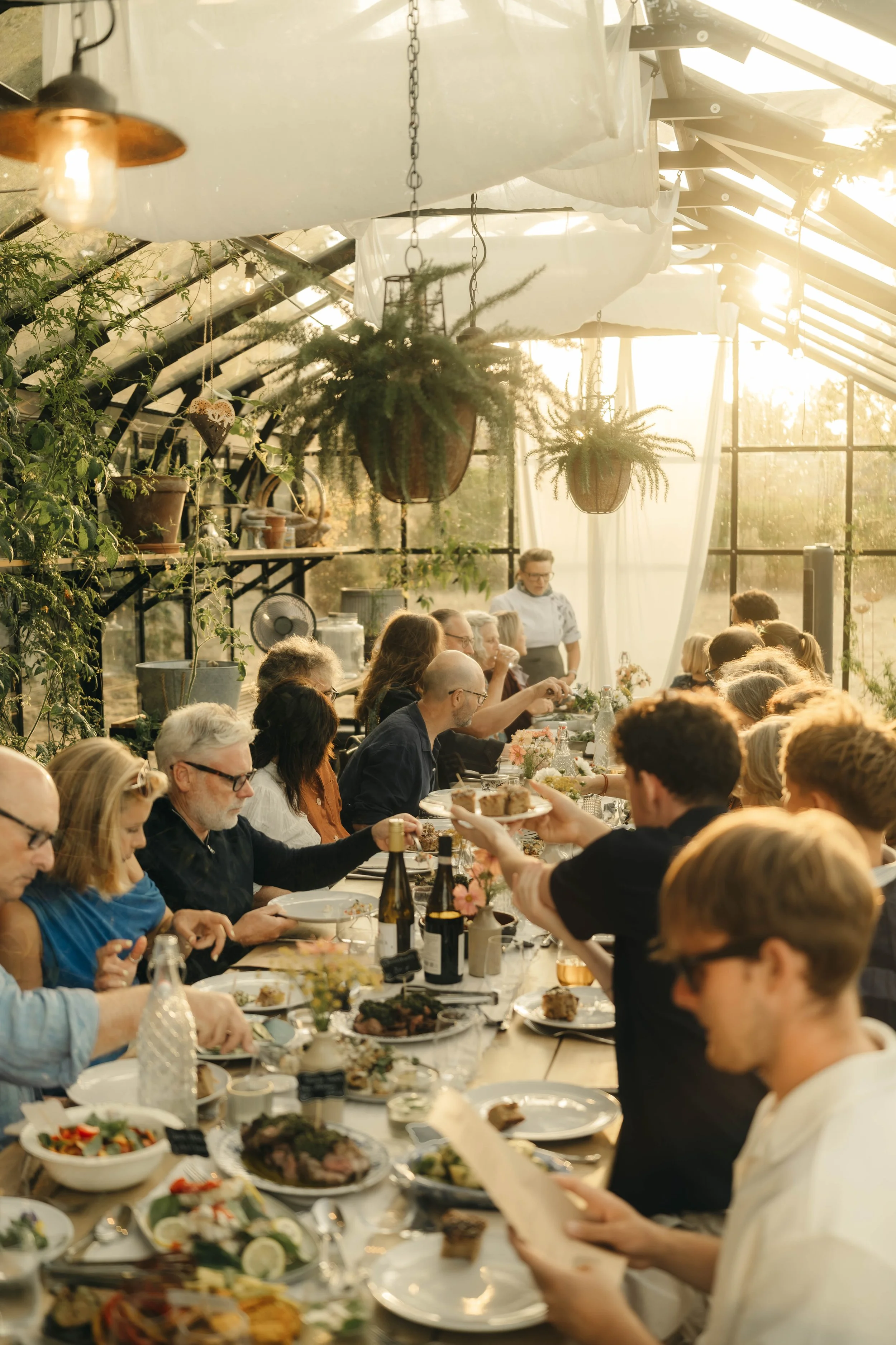People sitting at a long dining table inside a greenhouse, enjoying a meal. The table is filled with various dishes, bottles, and glasses. Hanging plants and warm sunlight filter through transparent roof panels.