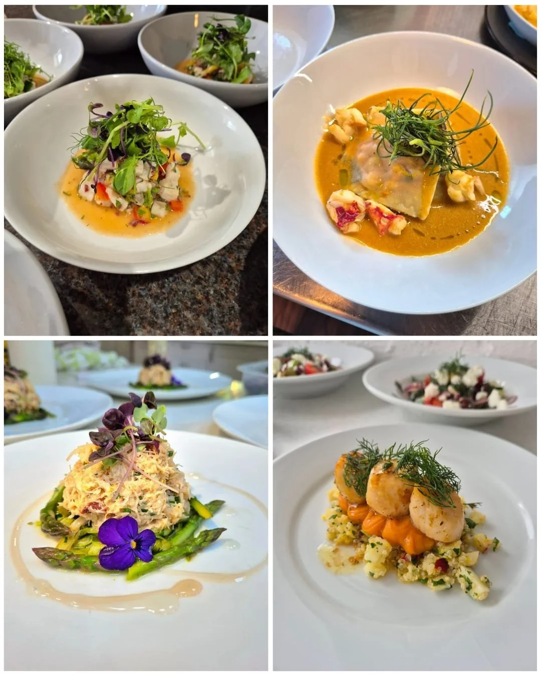 Four dishes of gourmet food, including salads, seafood, and vegetables, arranged on white plates and tables.