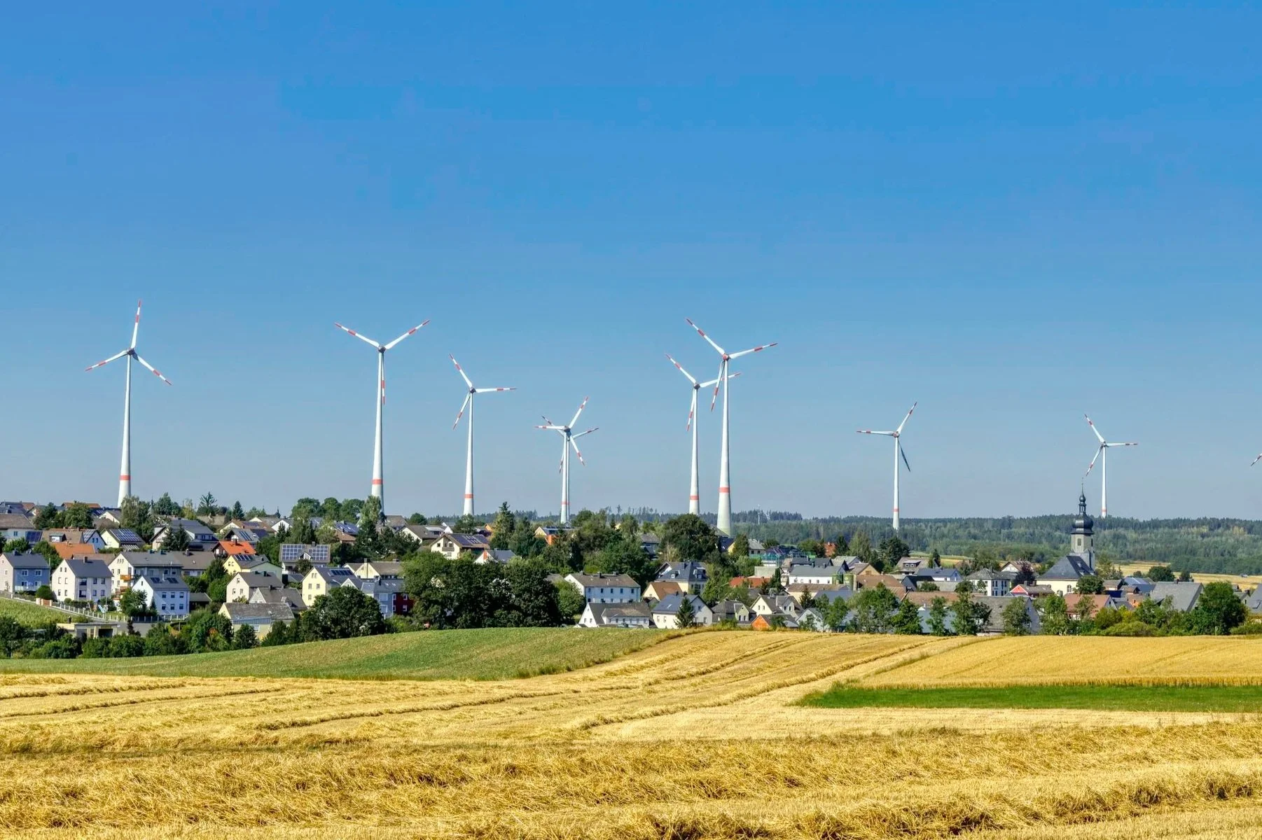 Wenn Ideologie über Vernunft gestellt wird