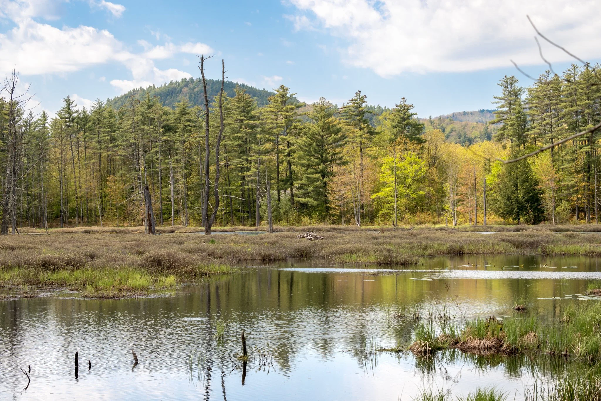 Backyard Adventure Journal — TMPalermo Photography