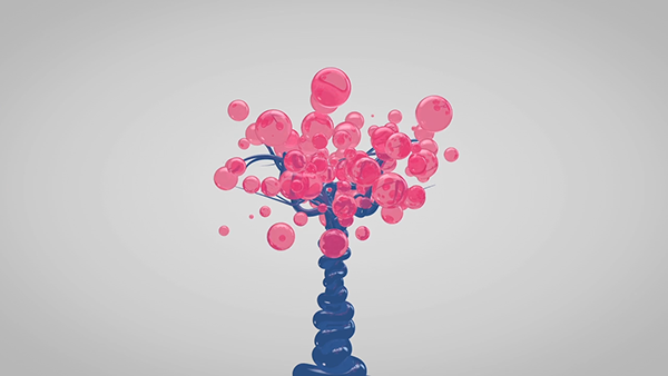 83f207111561605.600483249c99d.png