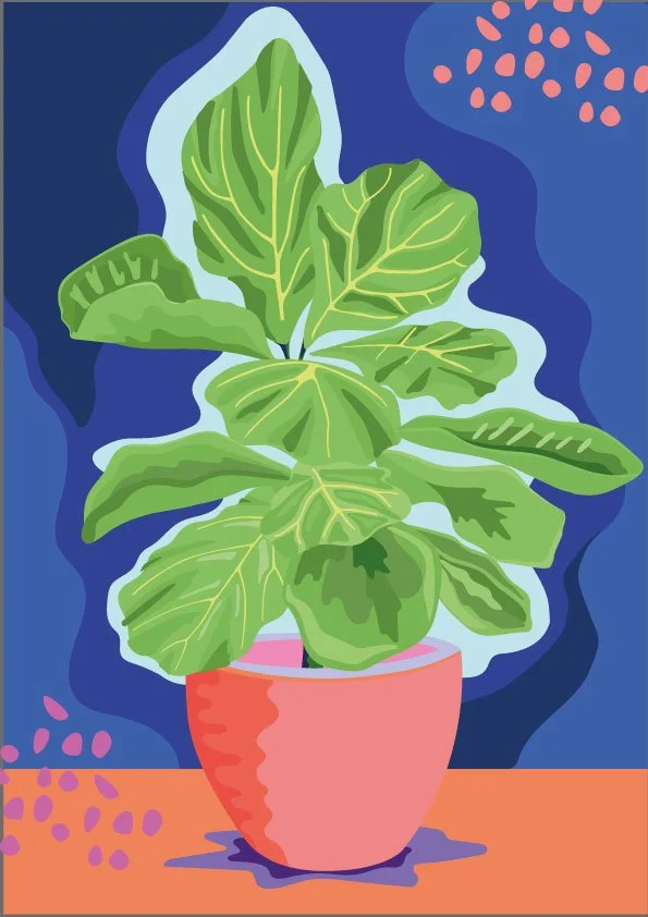 Inky Seas_Fig Plant_Copy Right_Carly Jackson.jpg