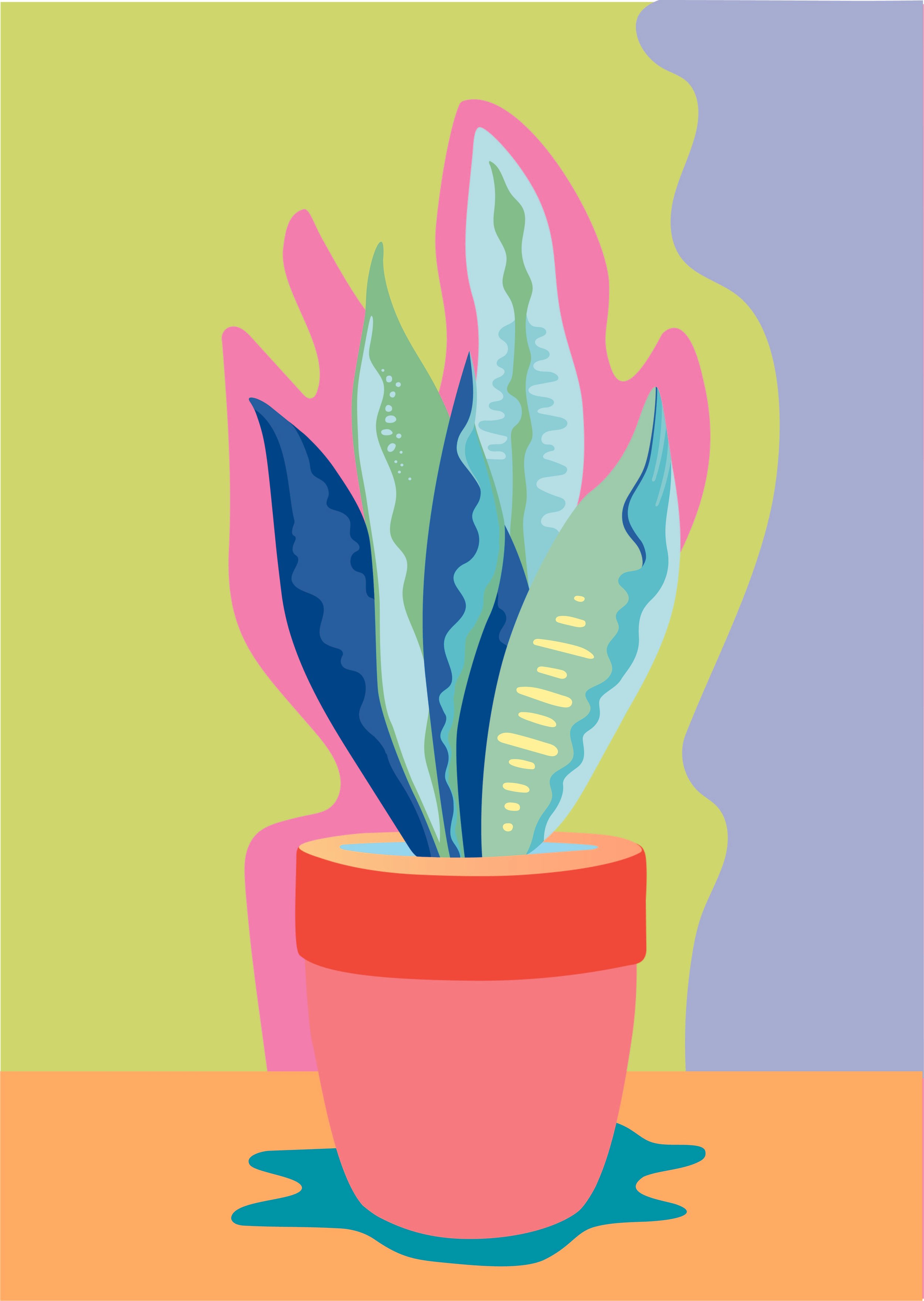 InkySeas_Snake Plant_1_Copyright.jpg