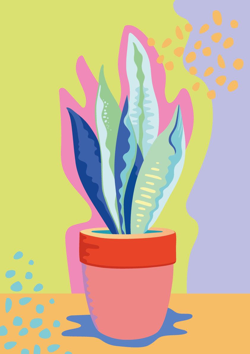 Inky Seas_Snake Plant_Copy Right_Carly Jackson.png