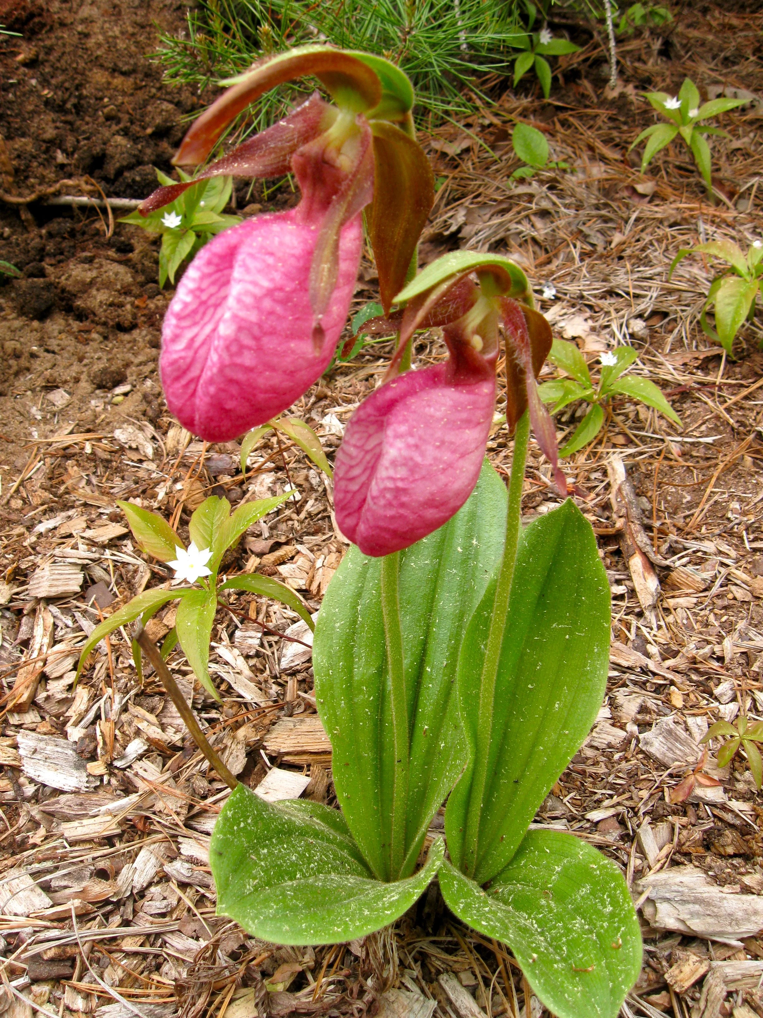 MISC July 09 238.jpeg