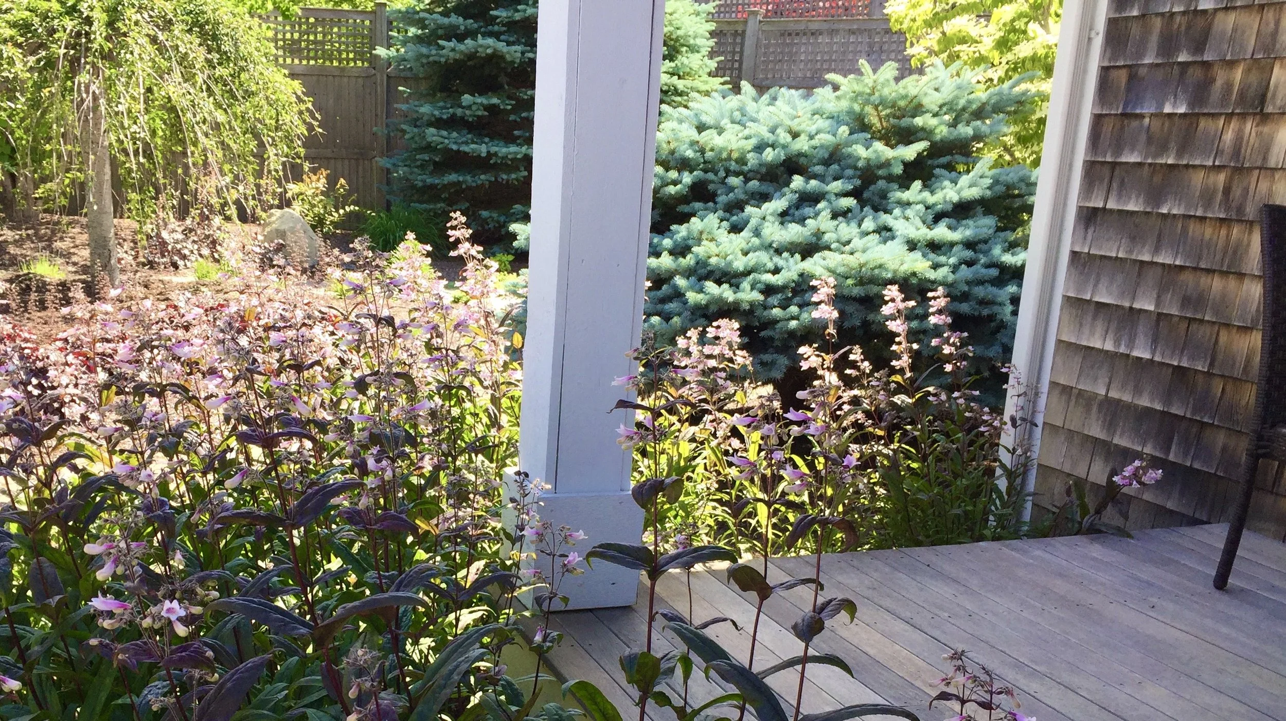 Pine Hills Mixed Border