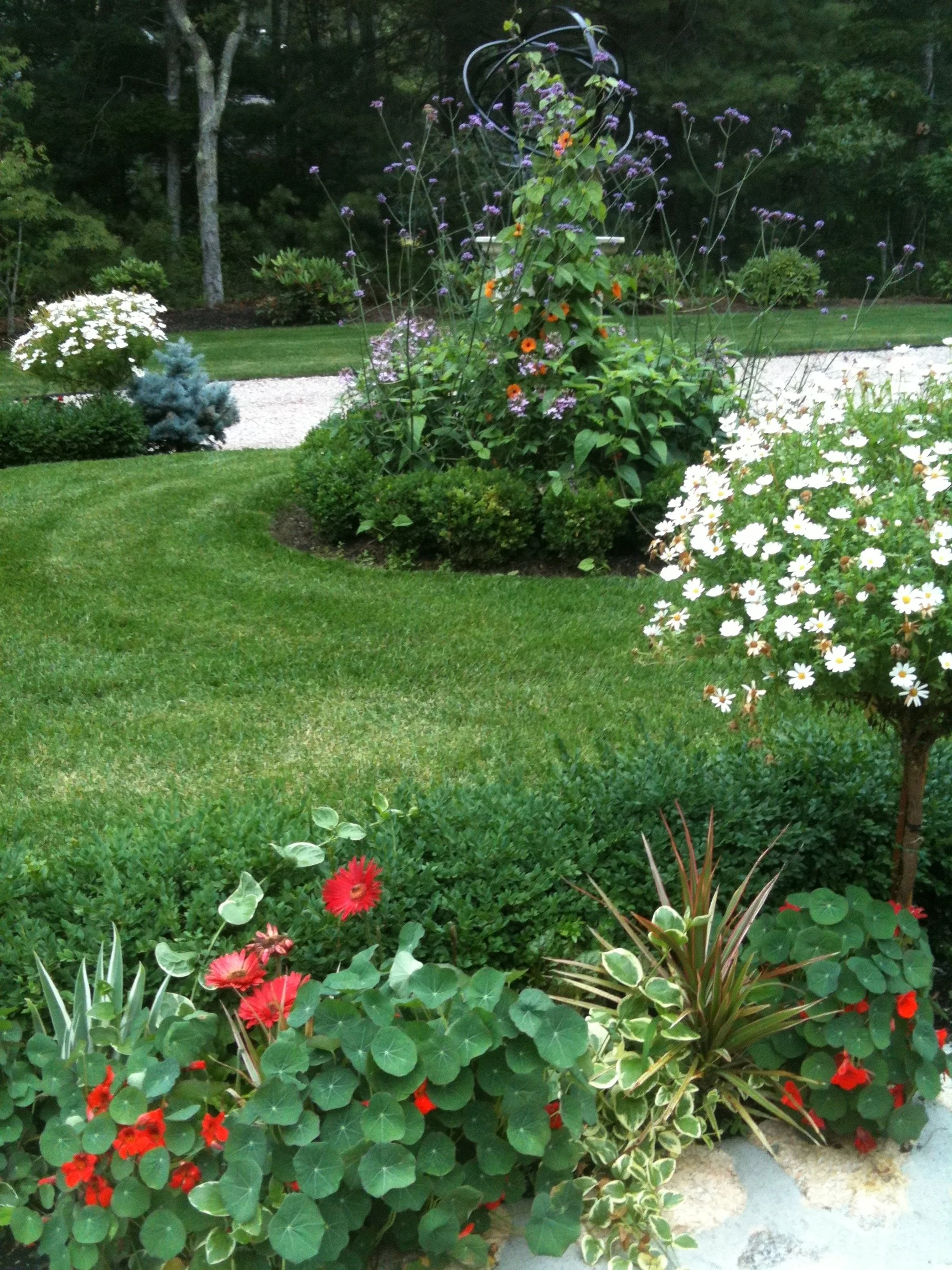 Osterville Annuals Planting &amp; Care