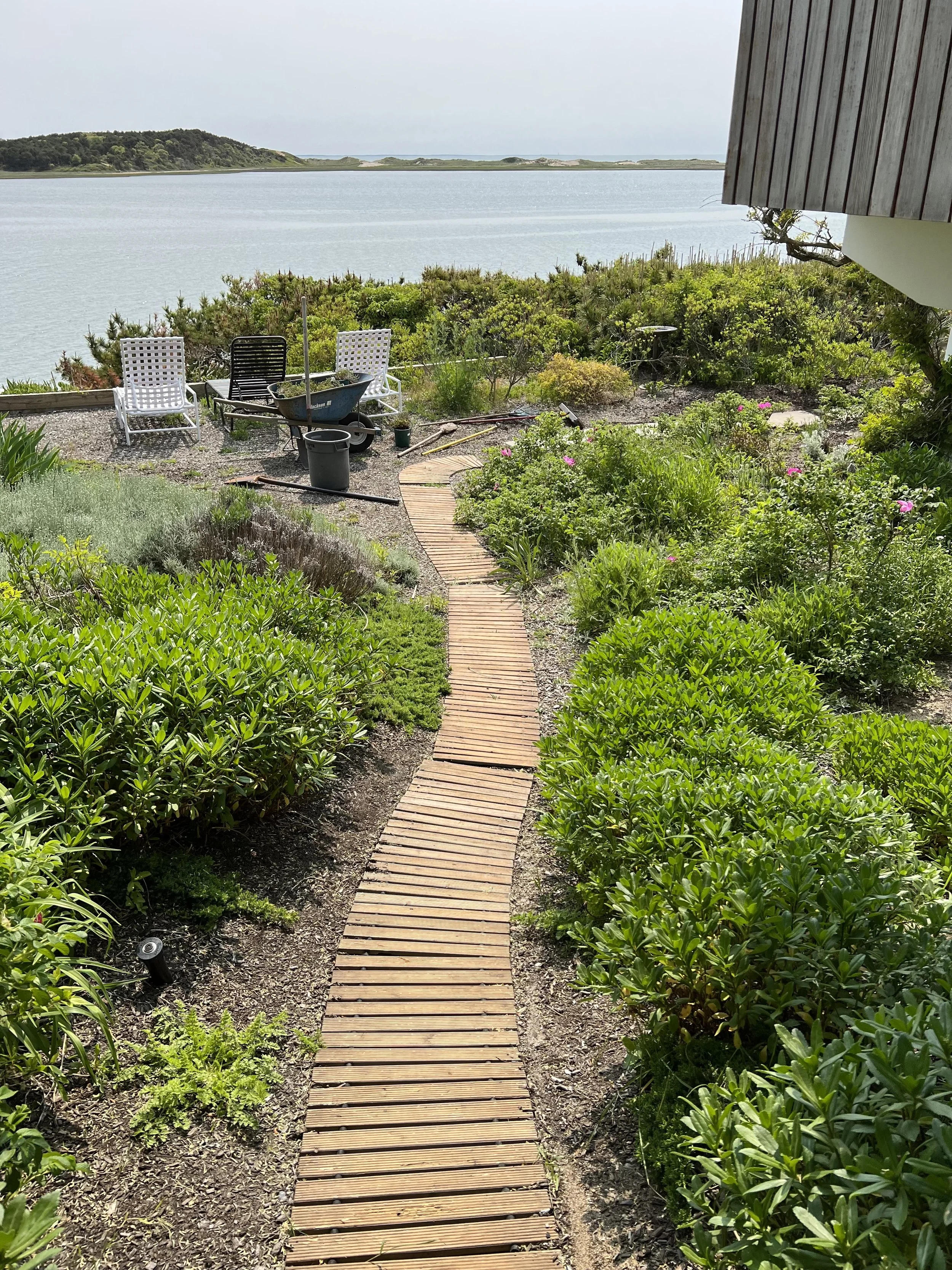 Wellfleet Fine Garden Care