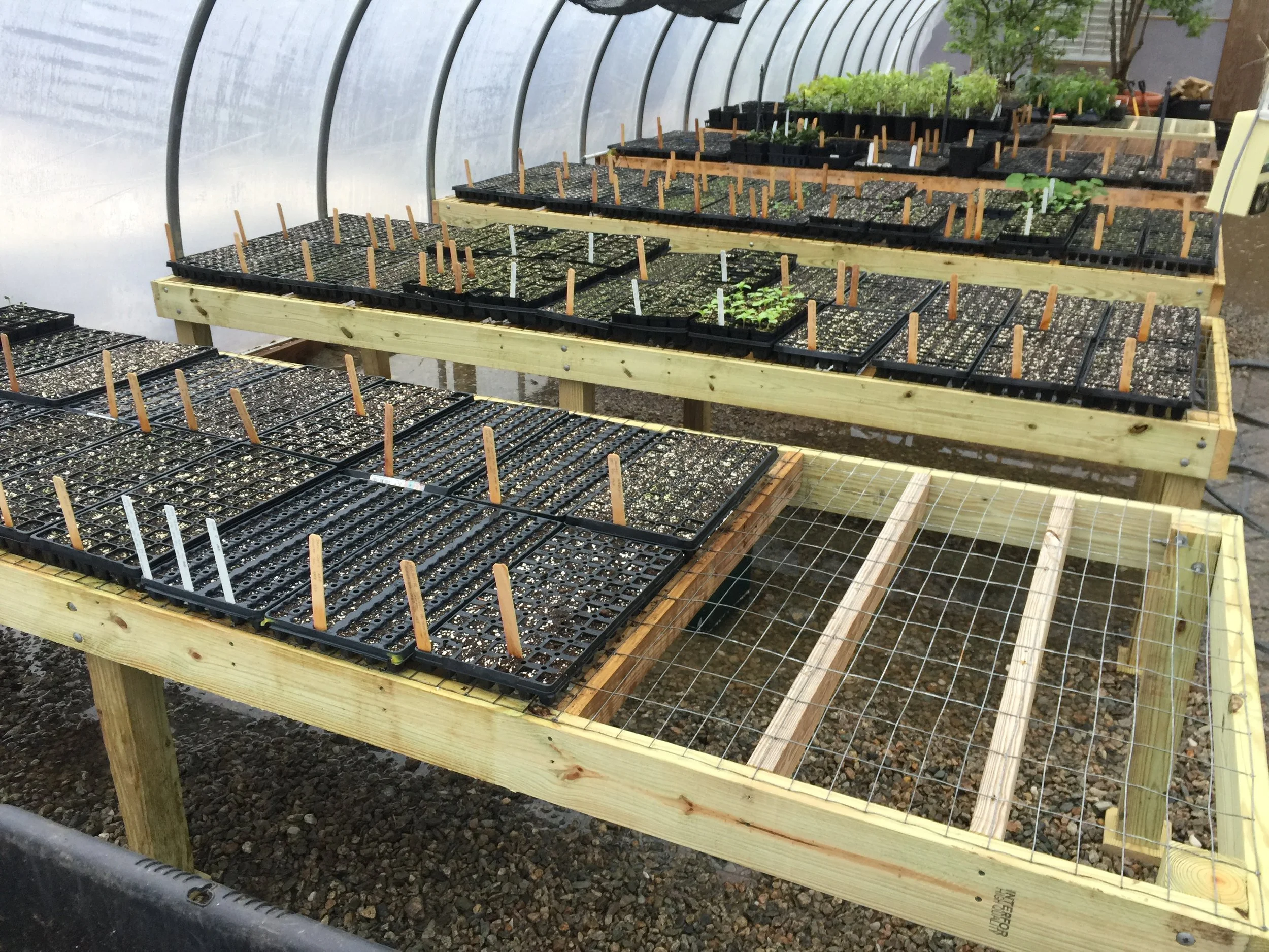 Propogation Initiatives - Heritage Museums &amp; Gardens