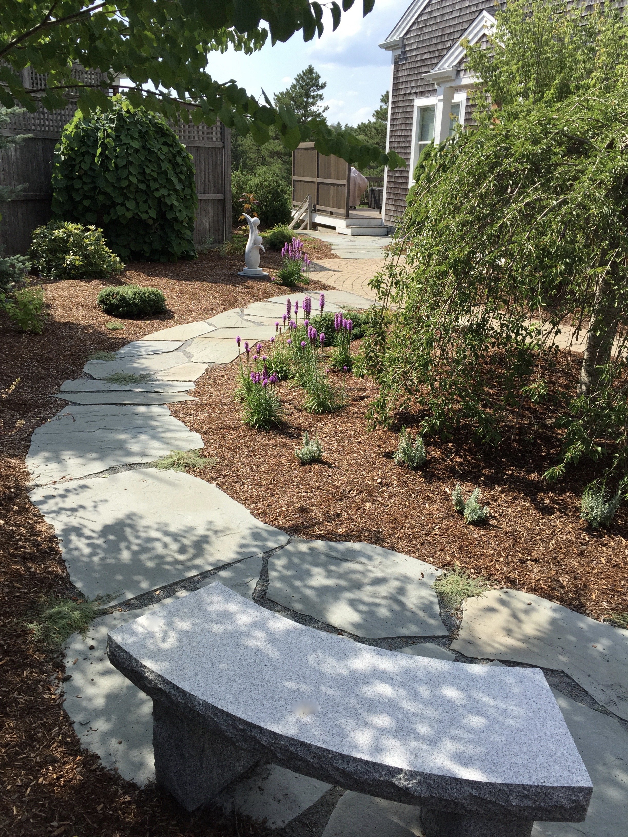 Pine Hills Lawn Conversion &amp; Care