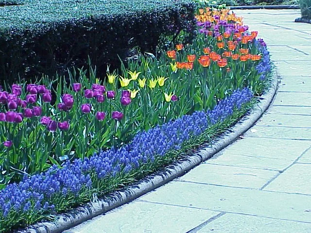 Conservatory Garden Fine Gardening - Manhattan