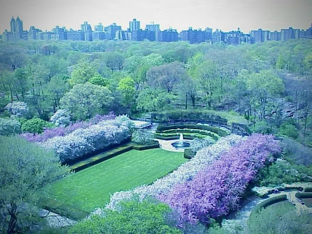 Conservatory Garden Formal Hedgework - Manhattan 