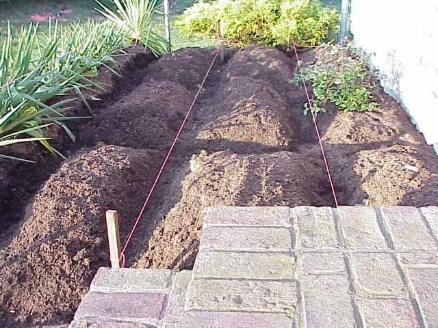 "Patchwork Quilt" Planting &amp; Care - Chatham