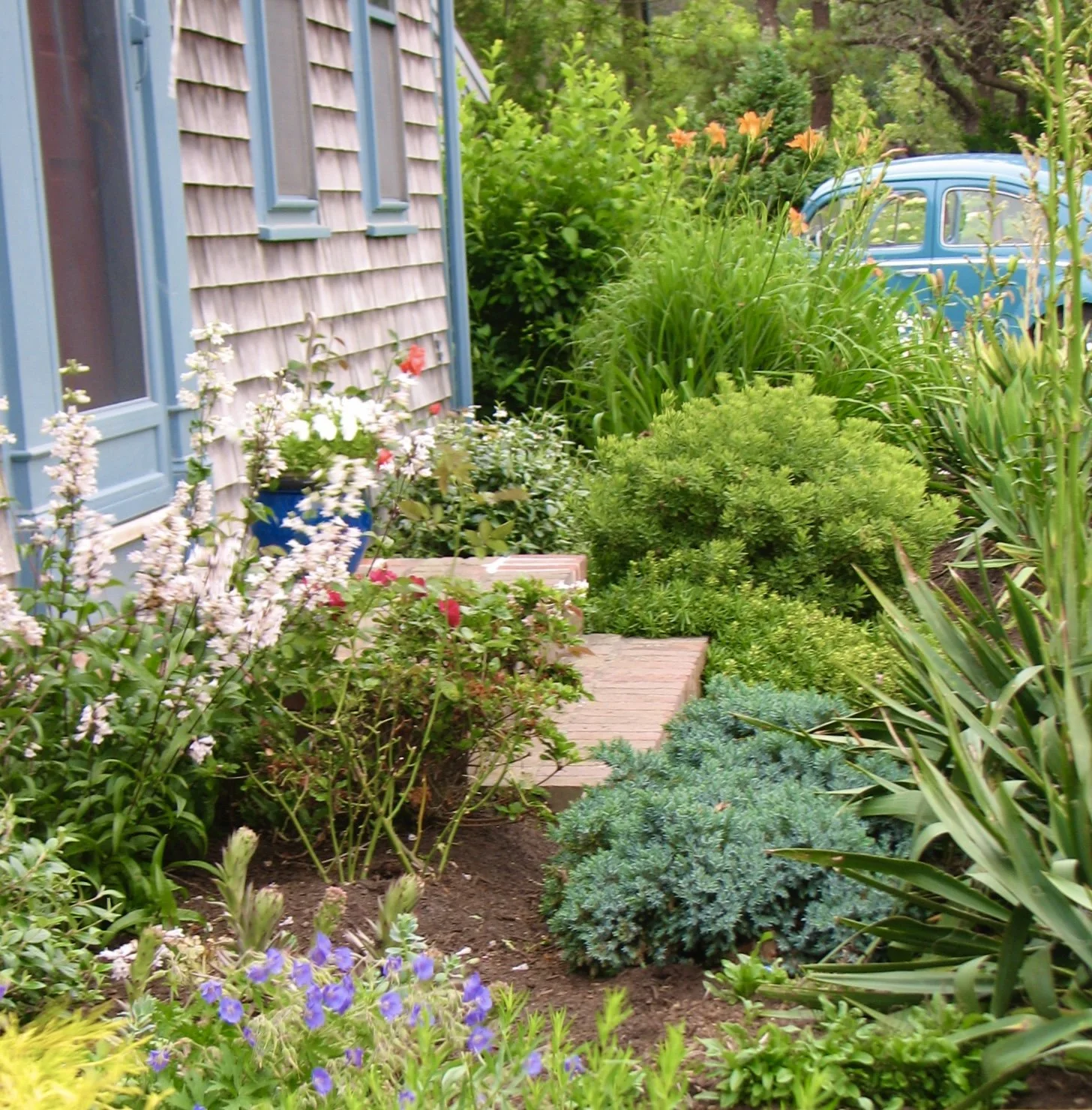 Fine Garden Care - Chatham