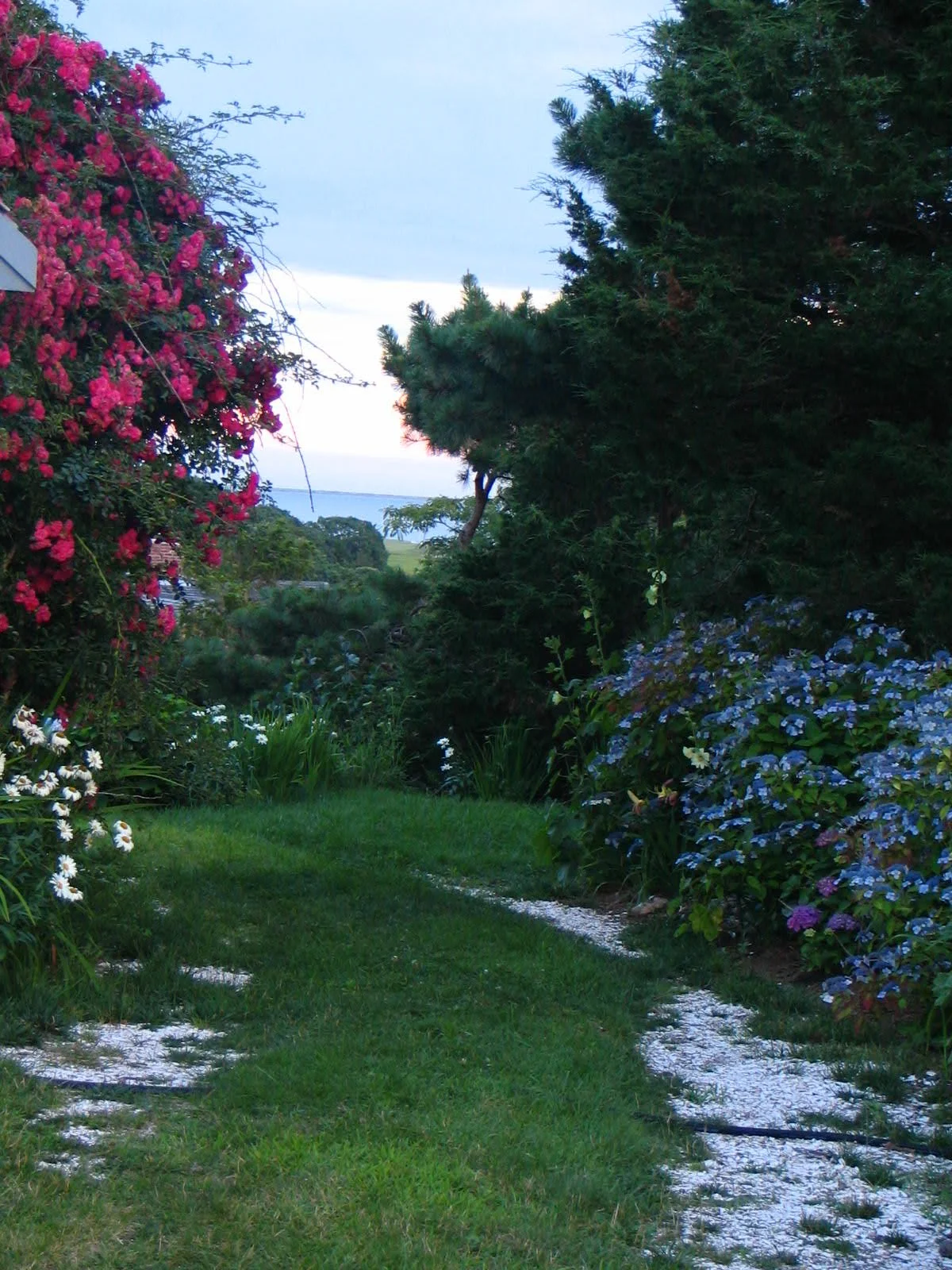 Naturalist Spaces Near Watersheds