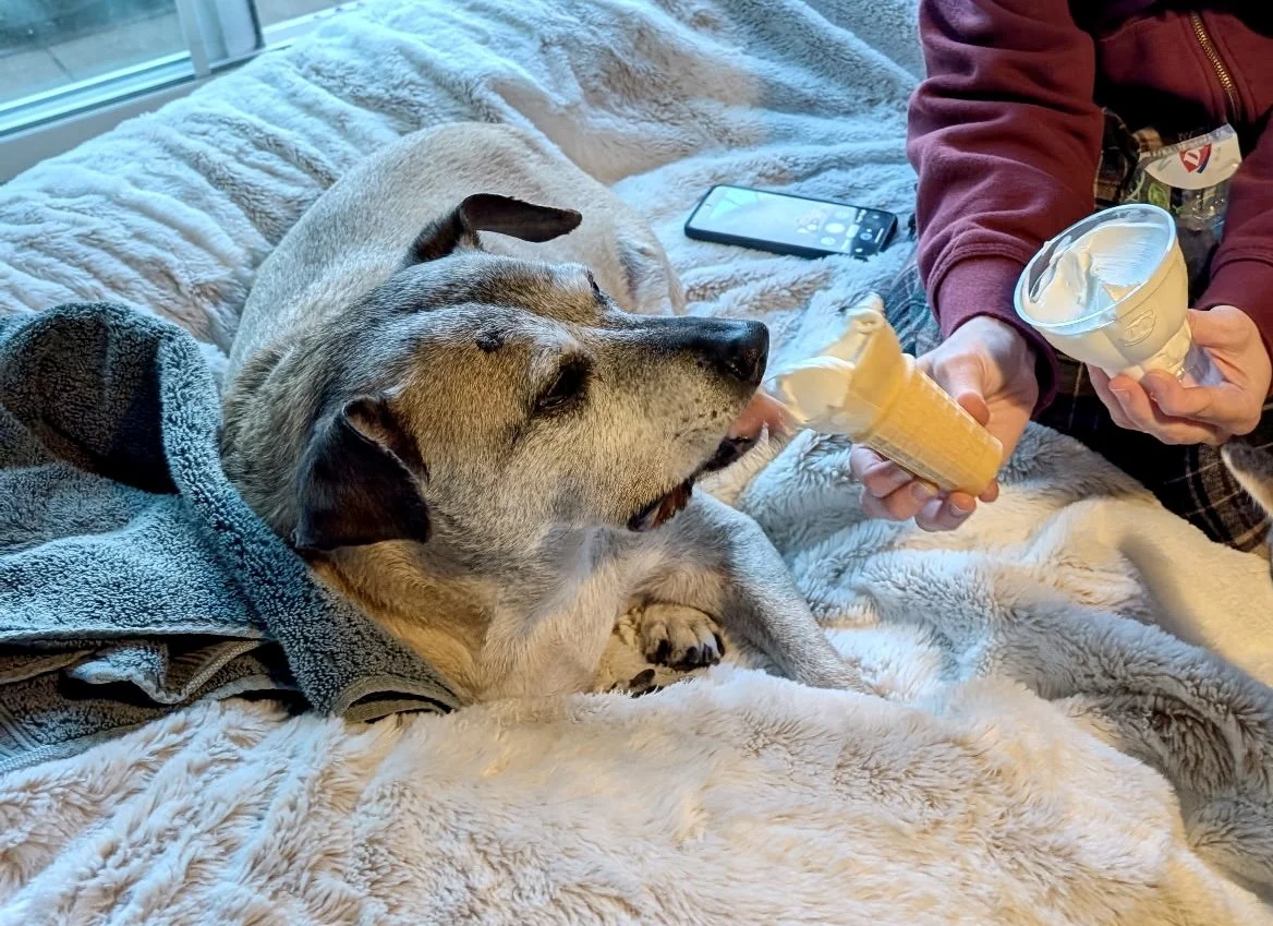 3906949828352840752 2.jpg