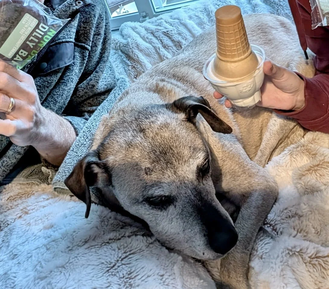 903685694505214178 2.jpg