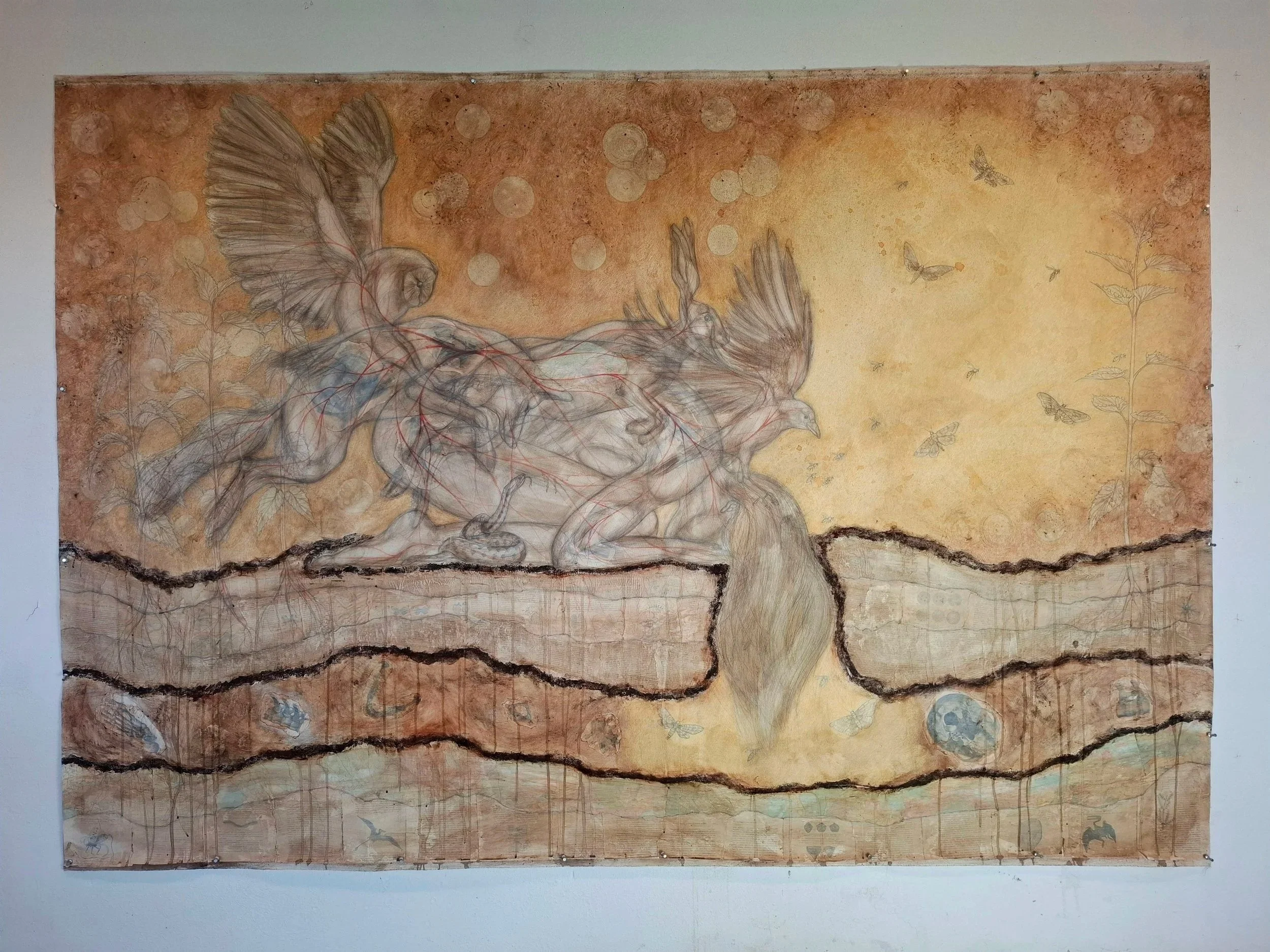 In omnibus reqium quasivi 
2026
2.39 x 1.65 m 
potlood, natuurlijk inkten en pigmenten, bister, gesso, aarde, colage op katoen