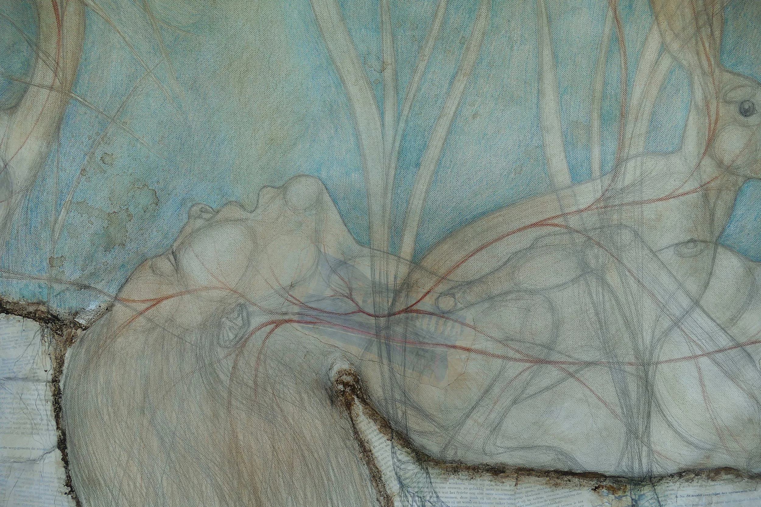Pneuma, detail,  2026, 450 x 165 cm, potlood, bister, gesso, collage, aarde op katoen