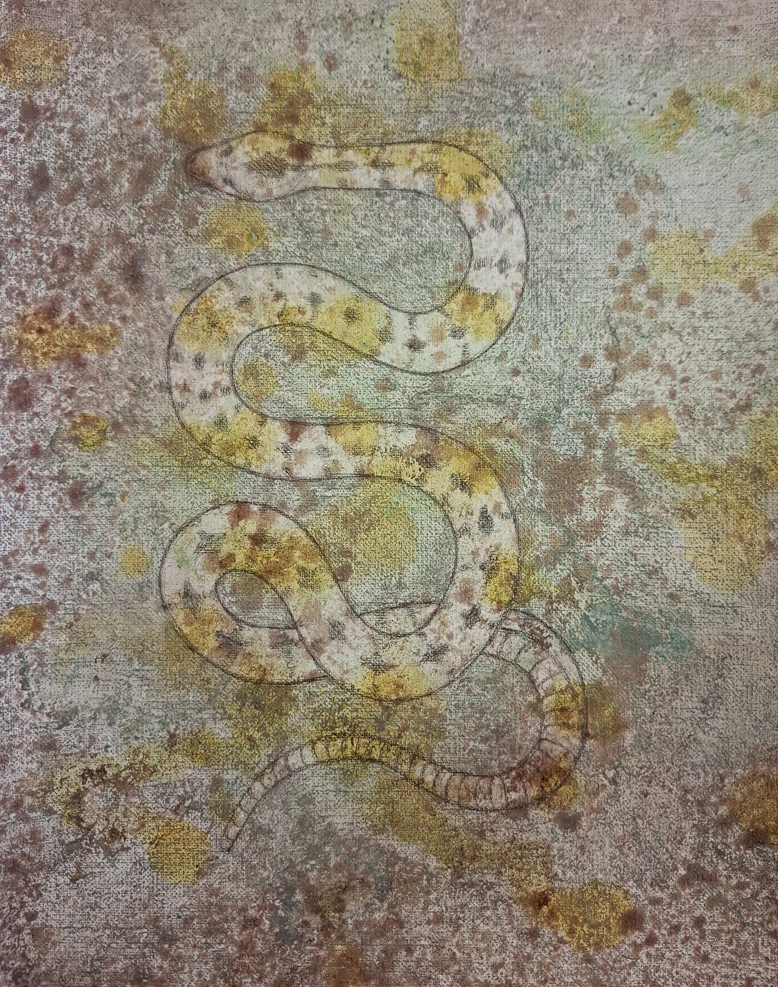 Serpent VII, 2025, 23 x 28,5 cm, potlood en natuurlijke inkten op schildersdoek