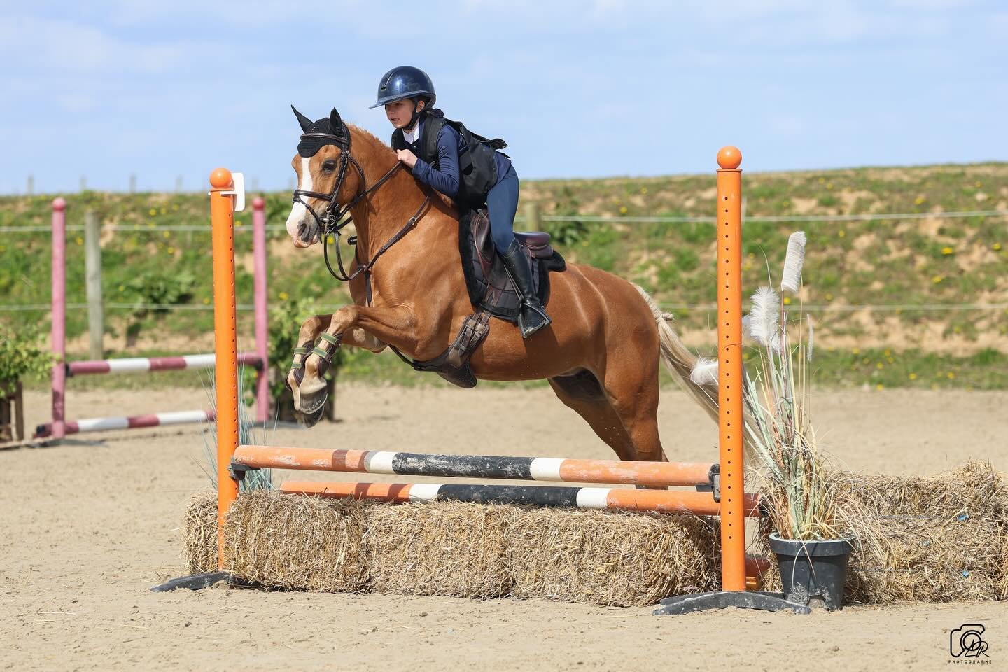 🏆 Concours Hunter &ndash; Circuit D&eacute;partemental des Platanes 🏆

✨ R&eacute;sultats ✨

🐴 Poney 3
🥇 Mia &amp; Unique Love remportent l&rsquo;&eacute;preuve
🥈 Kimie &amp; Halahuta terminent 2&egrave;mes

🐴 Poney 2
🥈 Victoria &amp; Dream
🥉