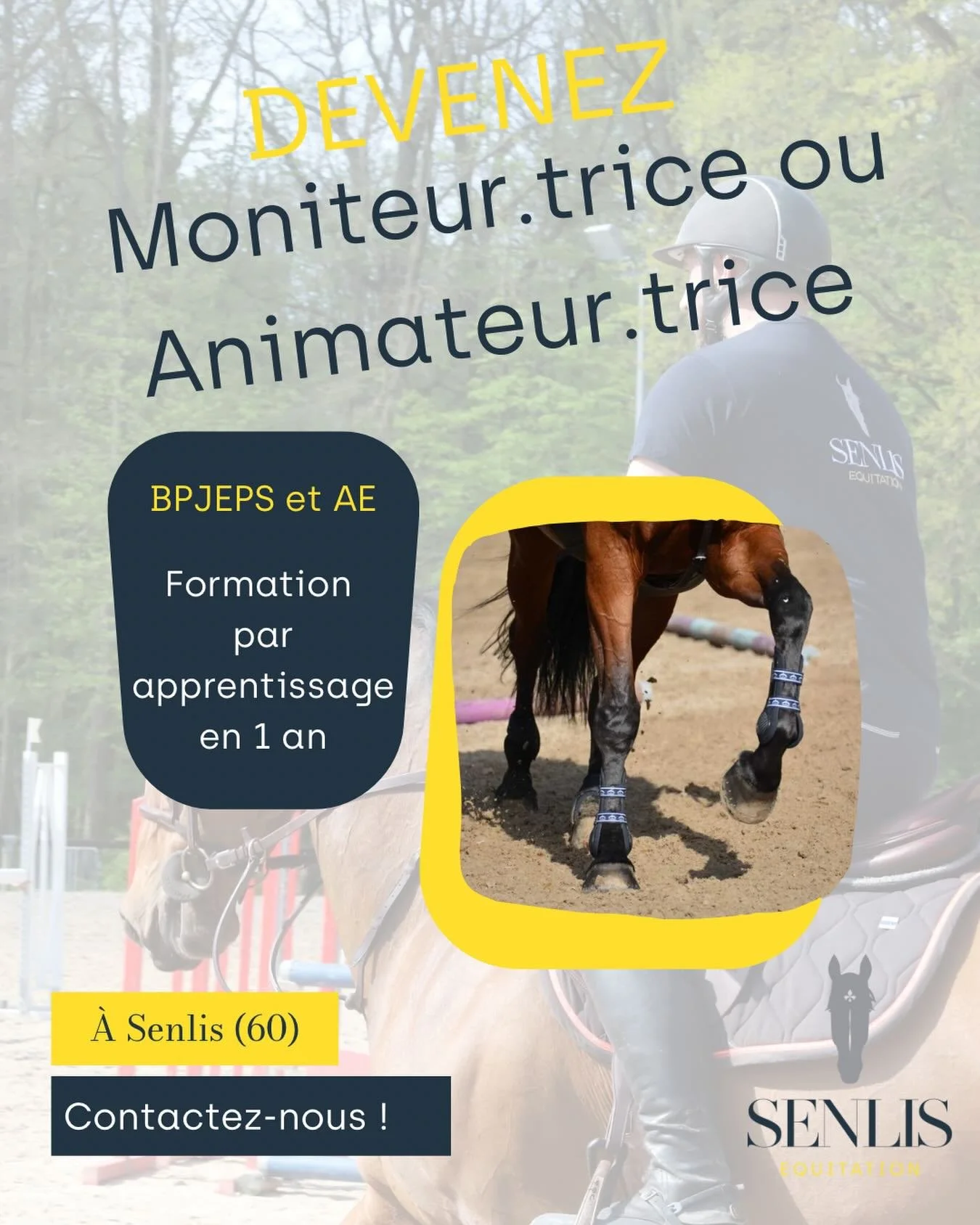 ✨ Formations BPJEPS &amp; AE &Eacute;quitation 🐴🎓

Vous souhaitez faire de votre passion un m&eacute;tier ?
👉 Formez-vous en apprentissage avec nos formations :
&bull; BPJEPS &Eacute;quitation (moniteur&middot;trice)
&bull; AE &ndash; Animateur&mi