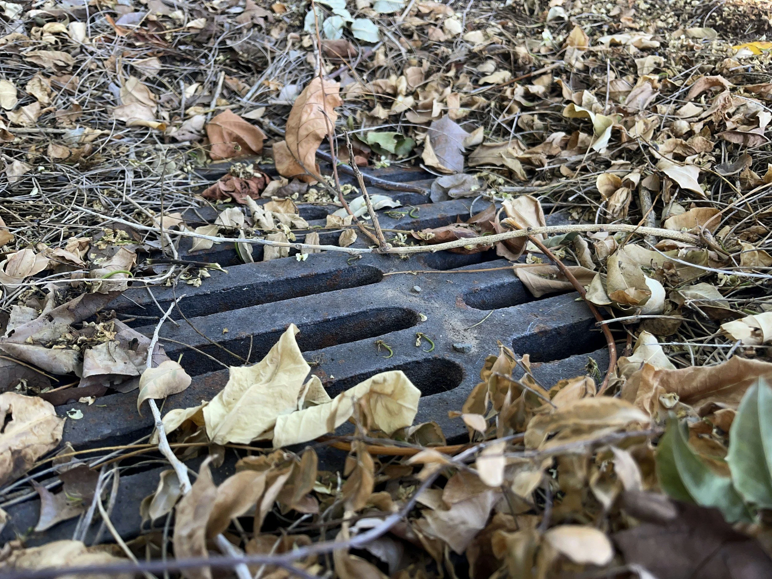 Be a Radiator, Not a Drain