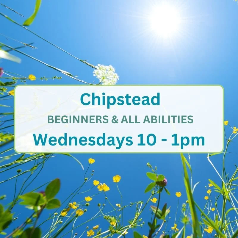 Product thumbnail Chipstead AA Wednesdays 2pm - 5pm (800 x 800 px).jpg