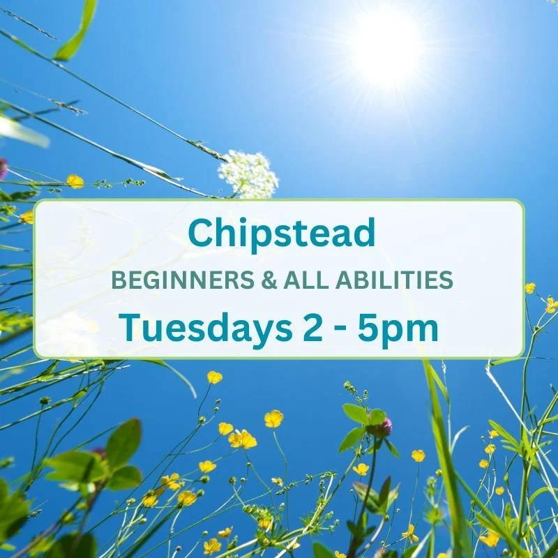 Product thumbnail Chipstead AA Tuesday 2pm - 5pm (800 x 800 px).jpg
