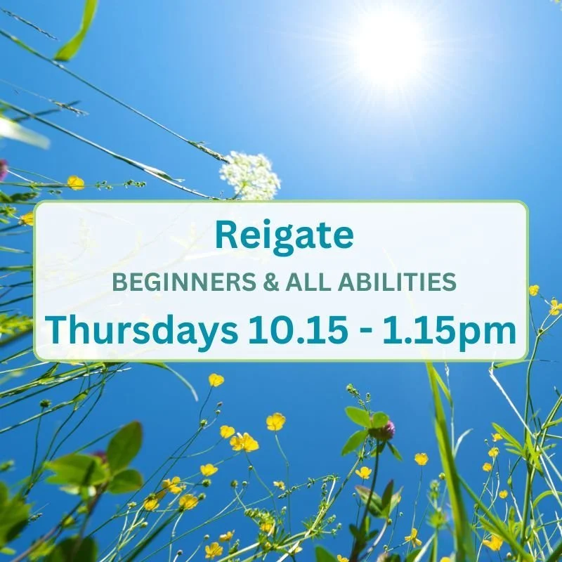 Product thumbnail Reigate AA Thursdays 10.15am - 1.15pm (800 x 800 px).jpg