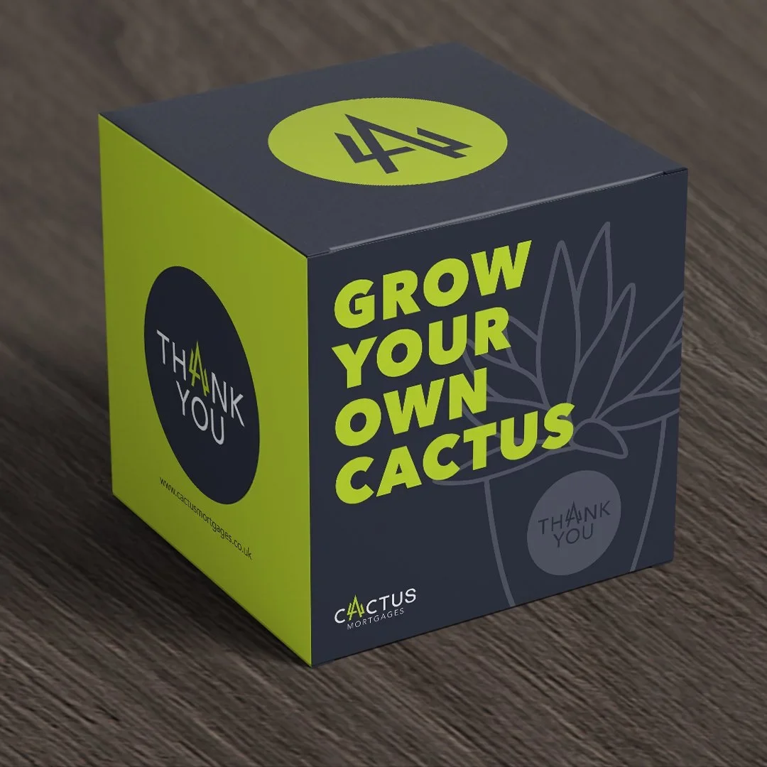 cactus mortgages cardboard plant box designed by saia creative