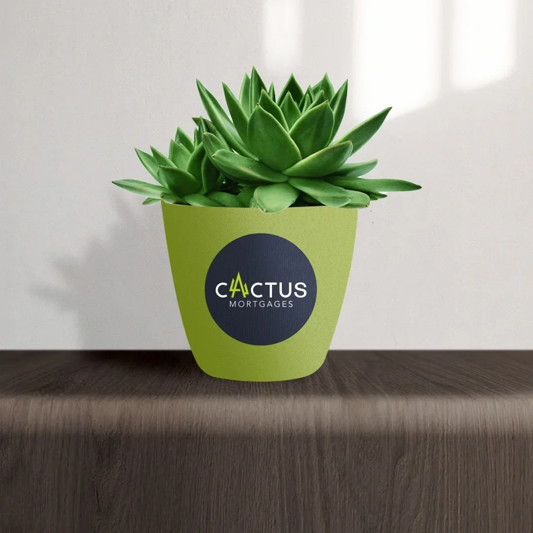 cactus mortgages logo plant pot.jpg