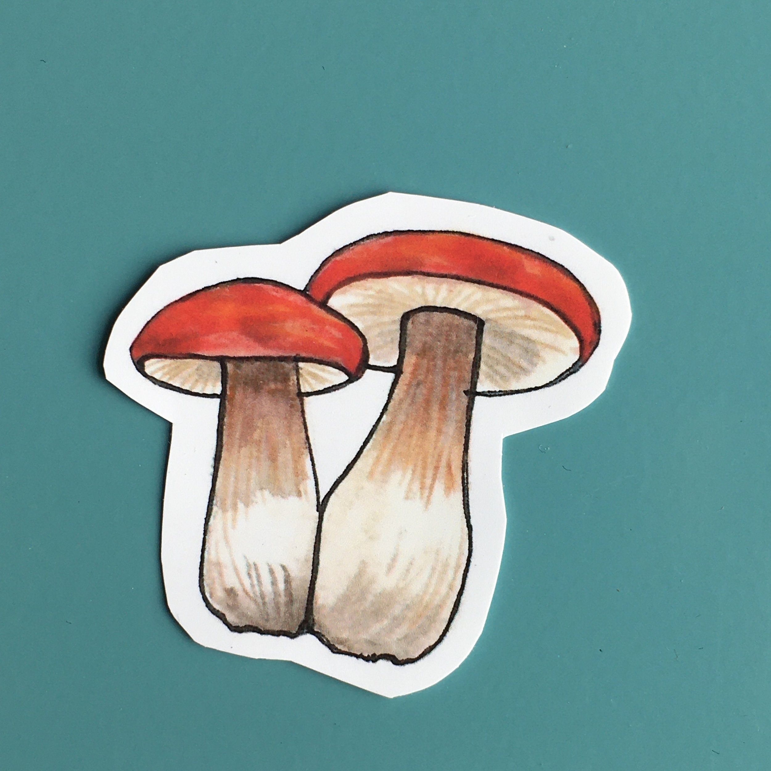 https://i.etsystatic.com/11979168/r/il/2171c7/2055440752/il_fullxfull.2055440752_oppy.jpg