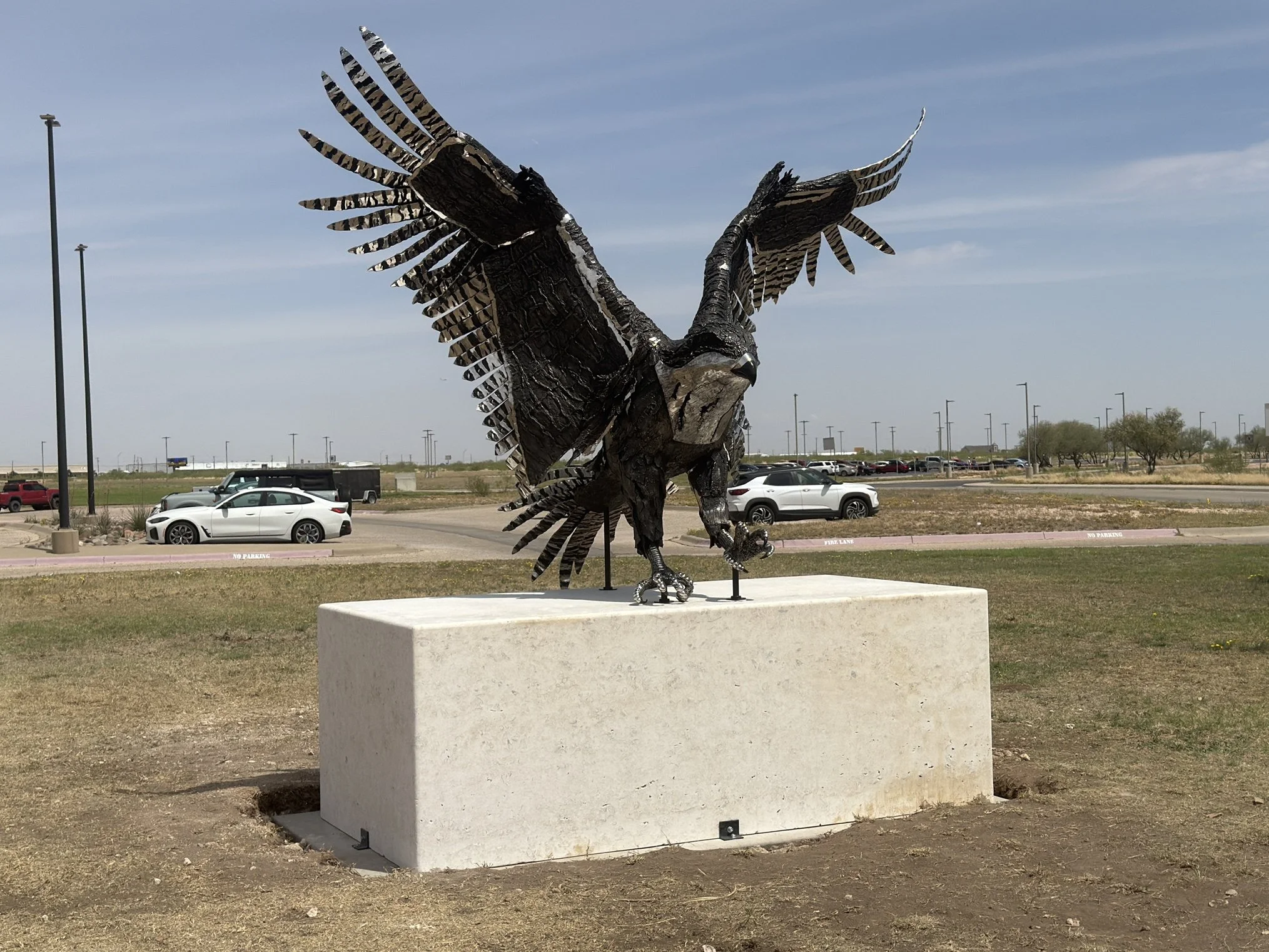 Freddy The Falcon