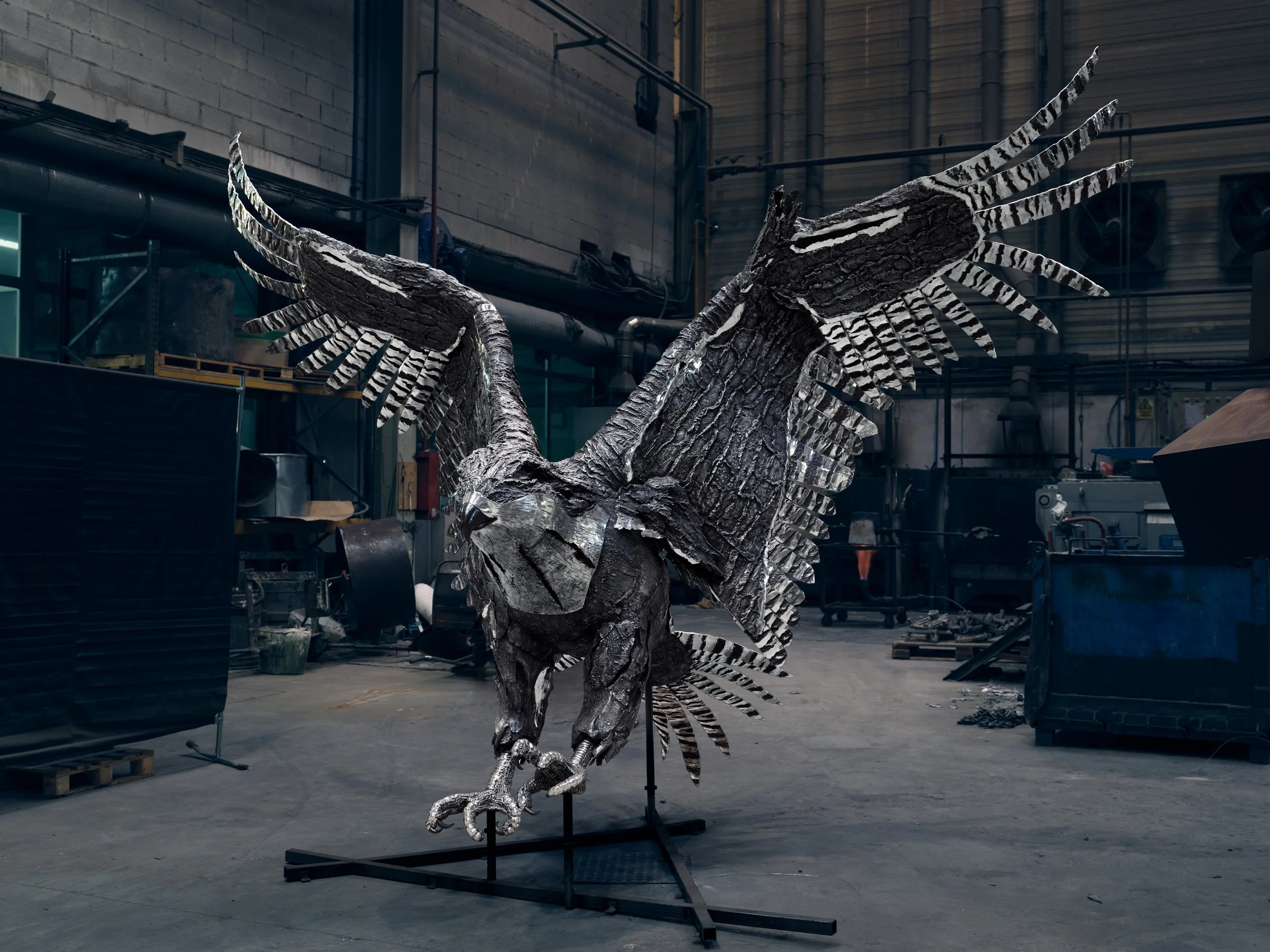 Freddy The Falcon by Katherine "KT" Taylor