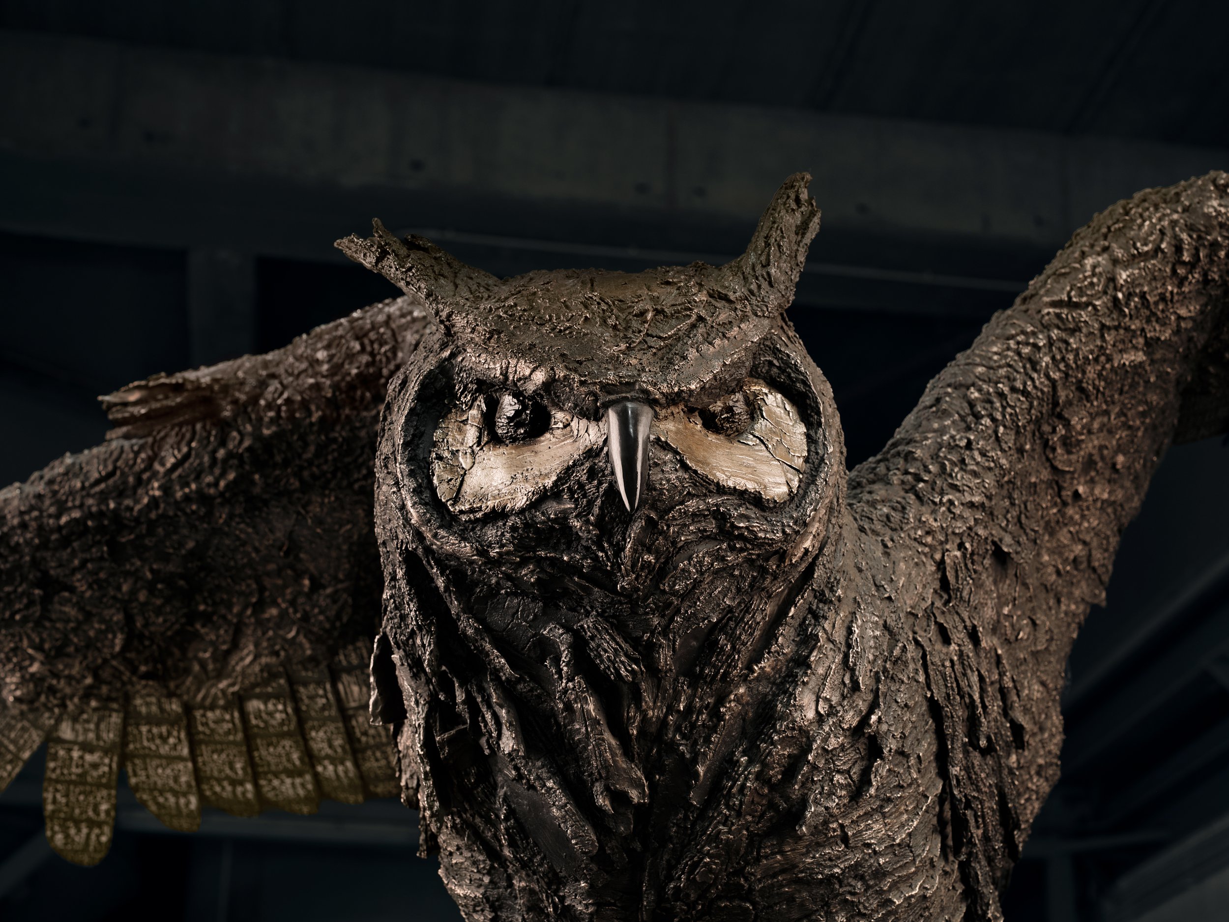 Owl by Katherine "KT" Taylor