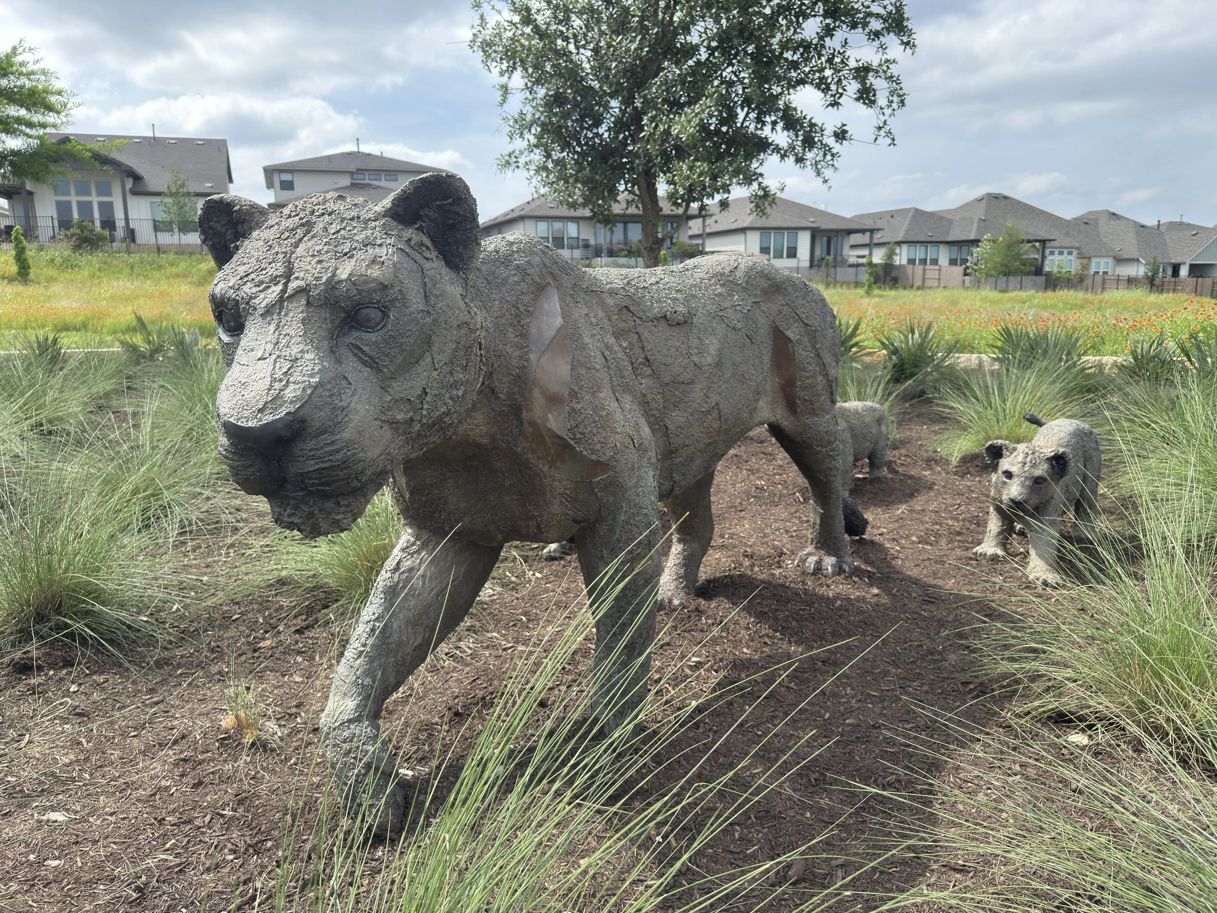The Lion Family