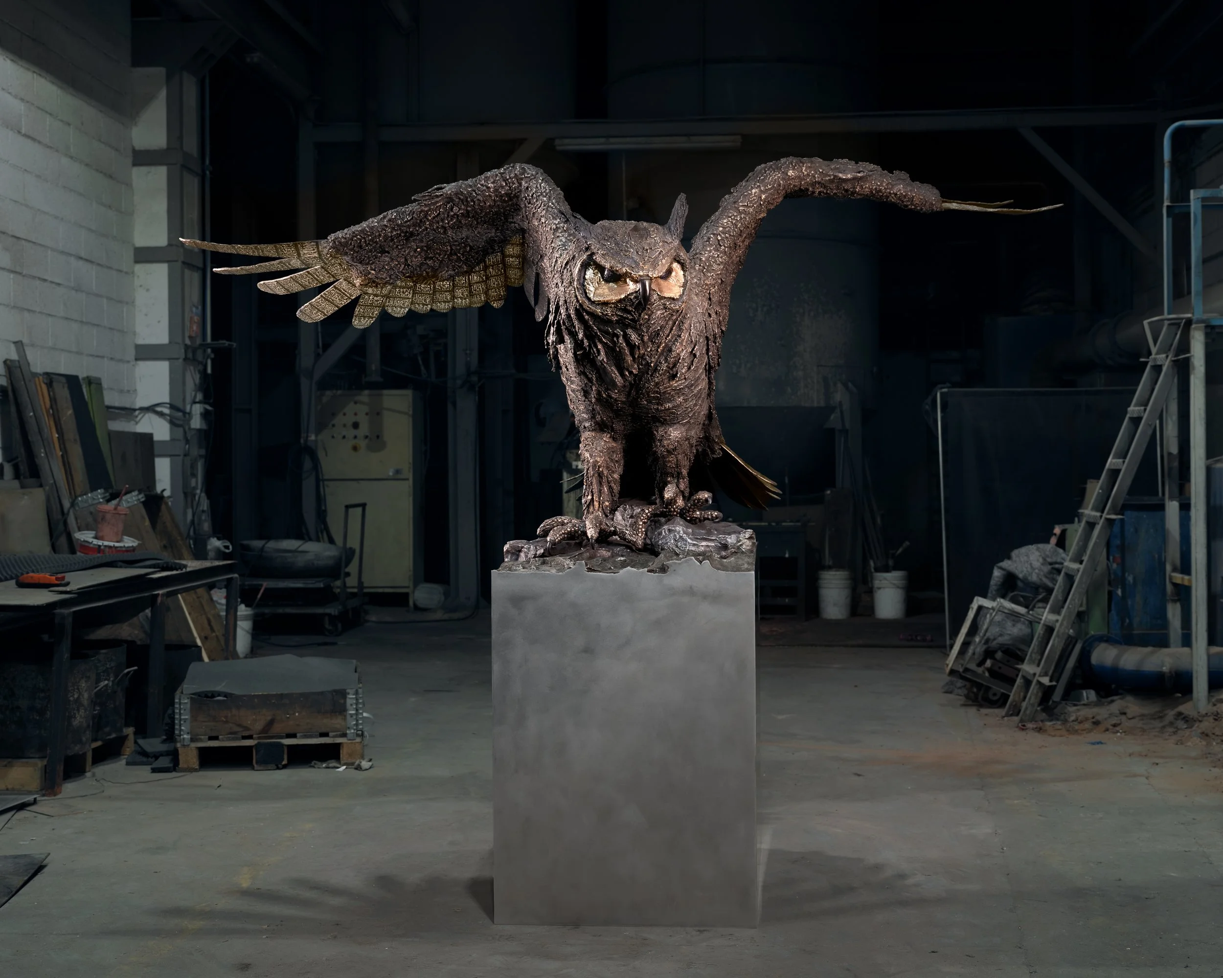 Owl by Katherine "KT" Taylor