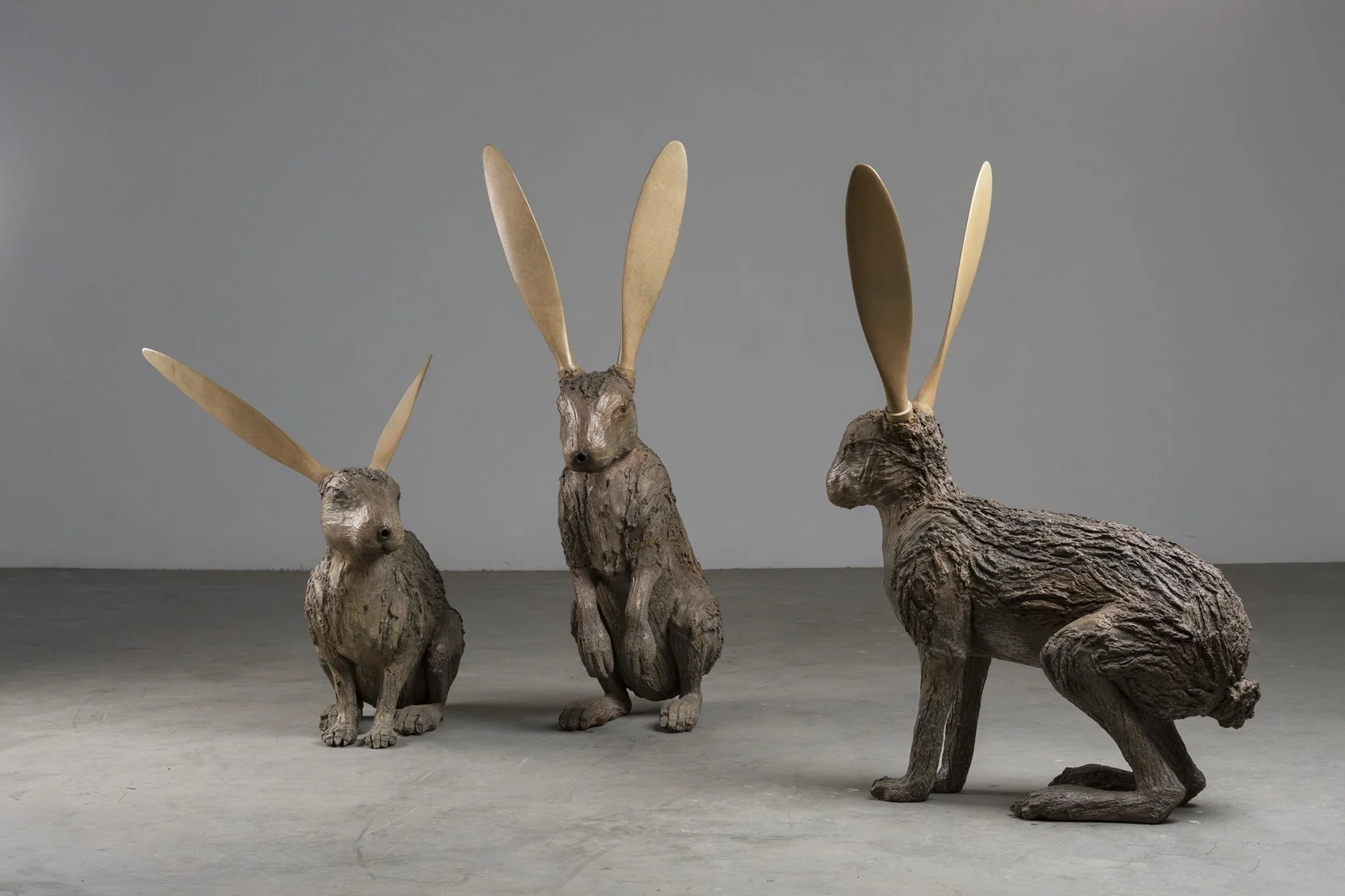 Hare Planes