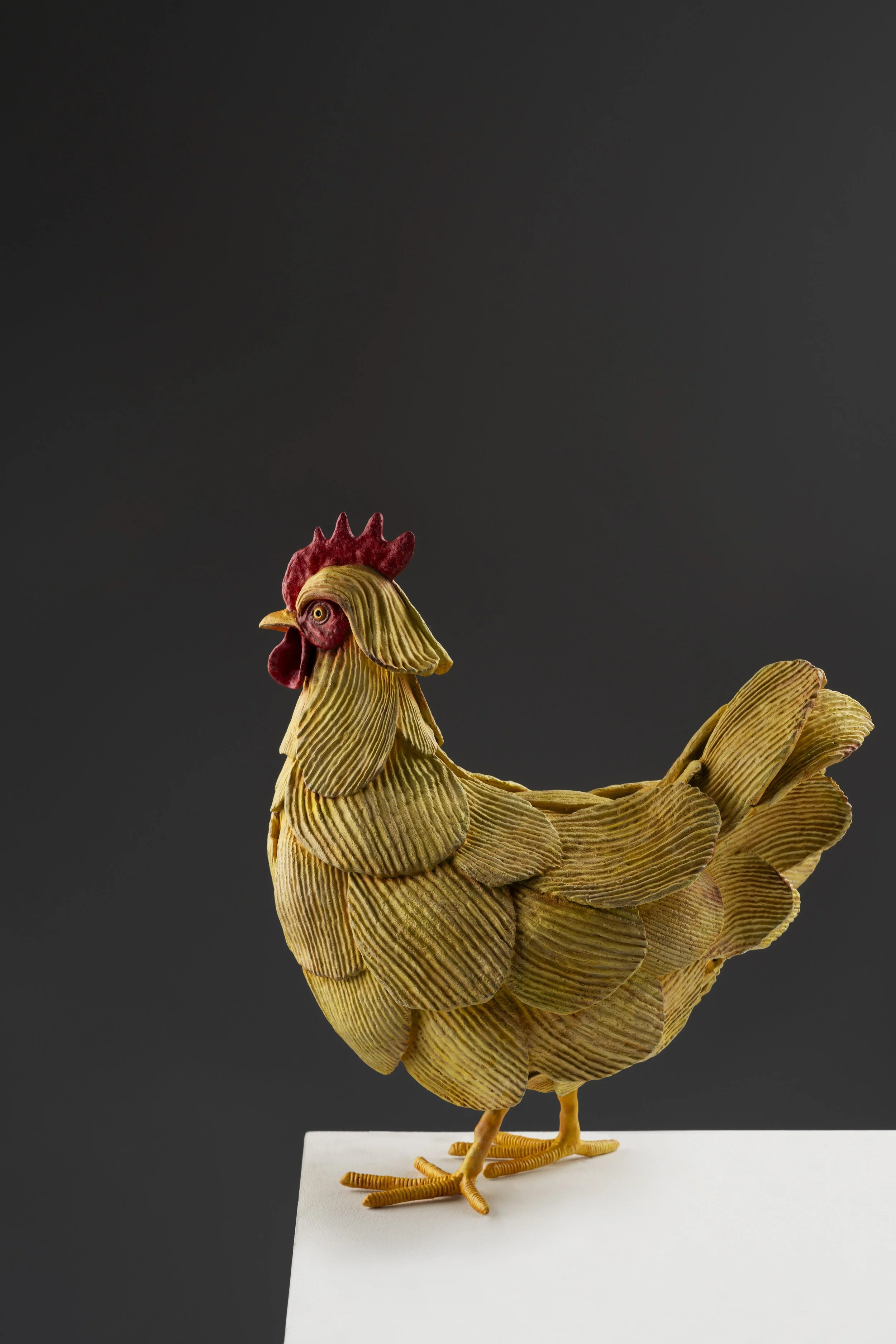 Ruffled Feathers