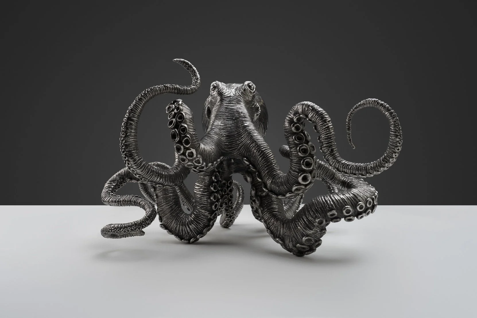 Cereal Cephalopod