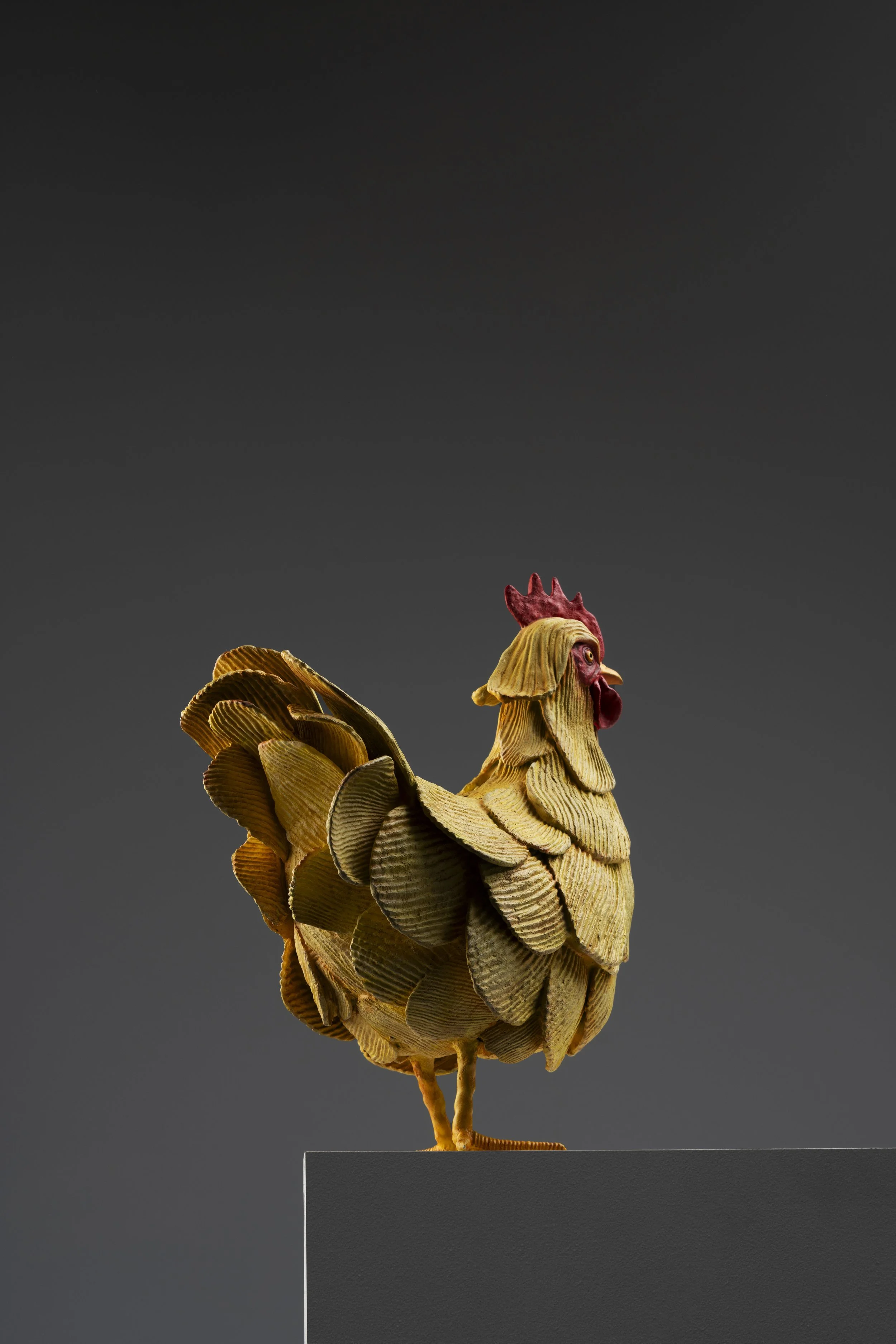 Ruffled Feathers