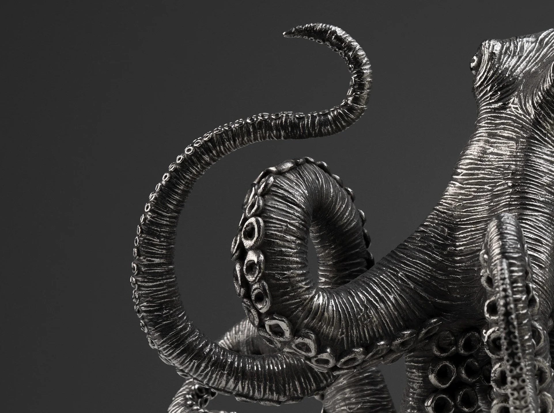 Cereal Cephalopod