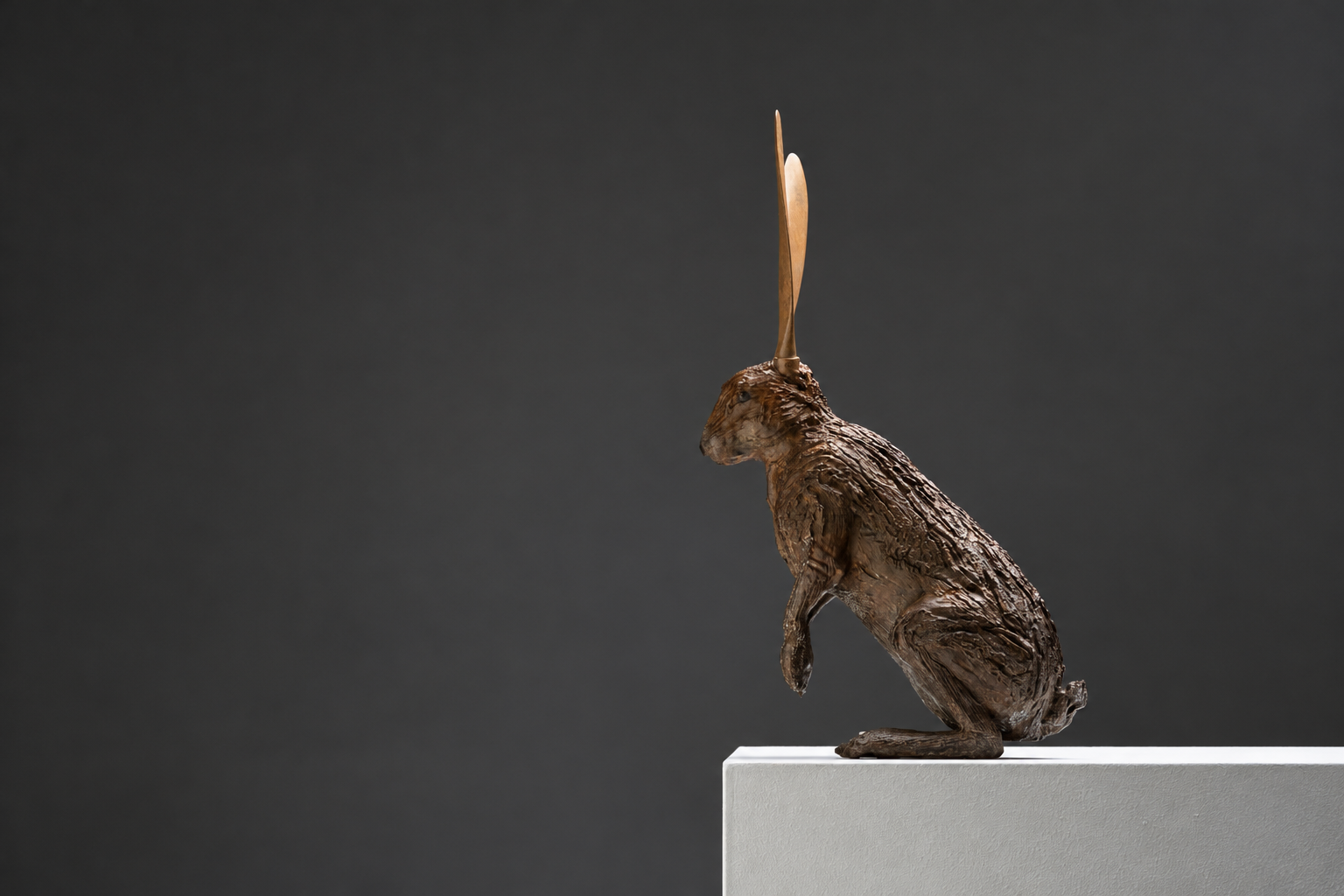 Hare Plane