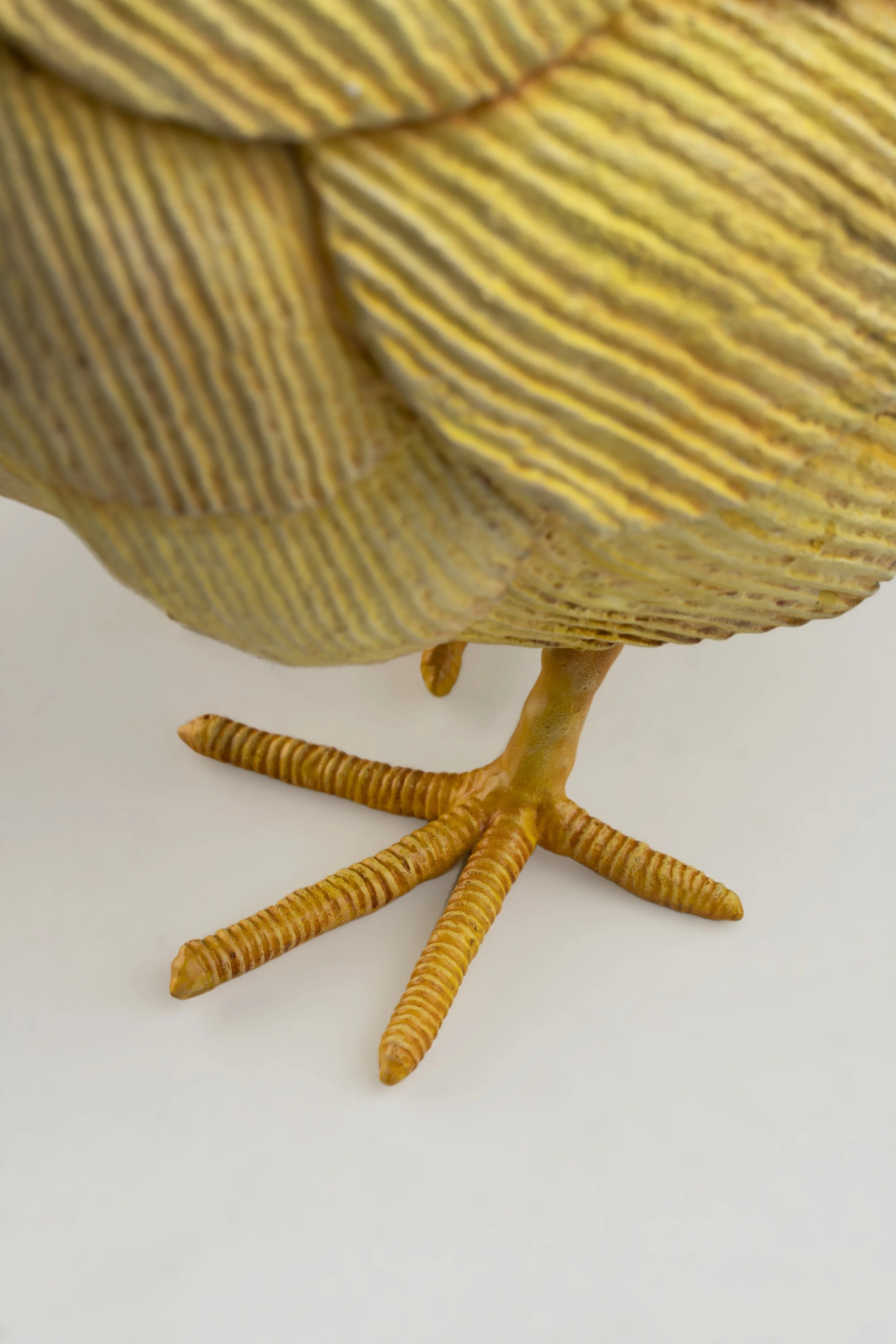 Ruffled Feathers